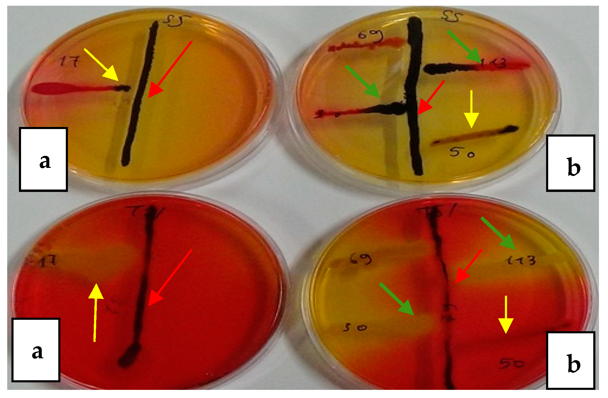 Applsci 14 00953 g003