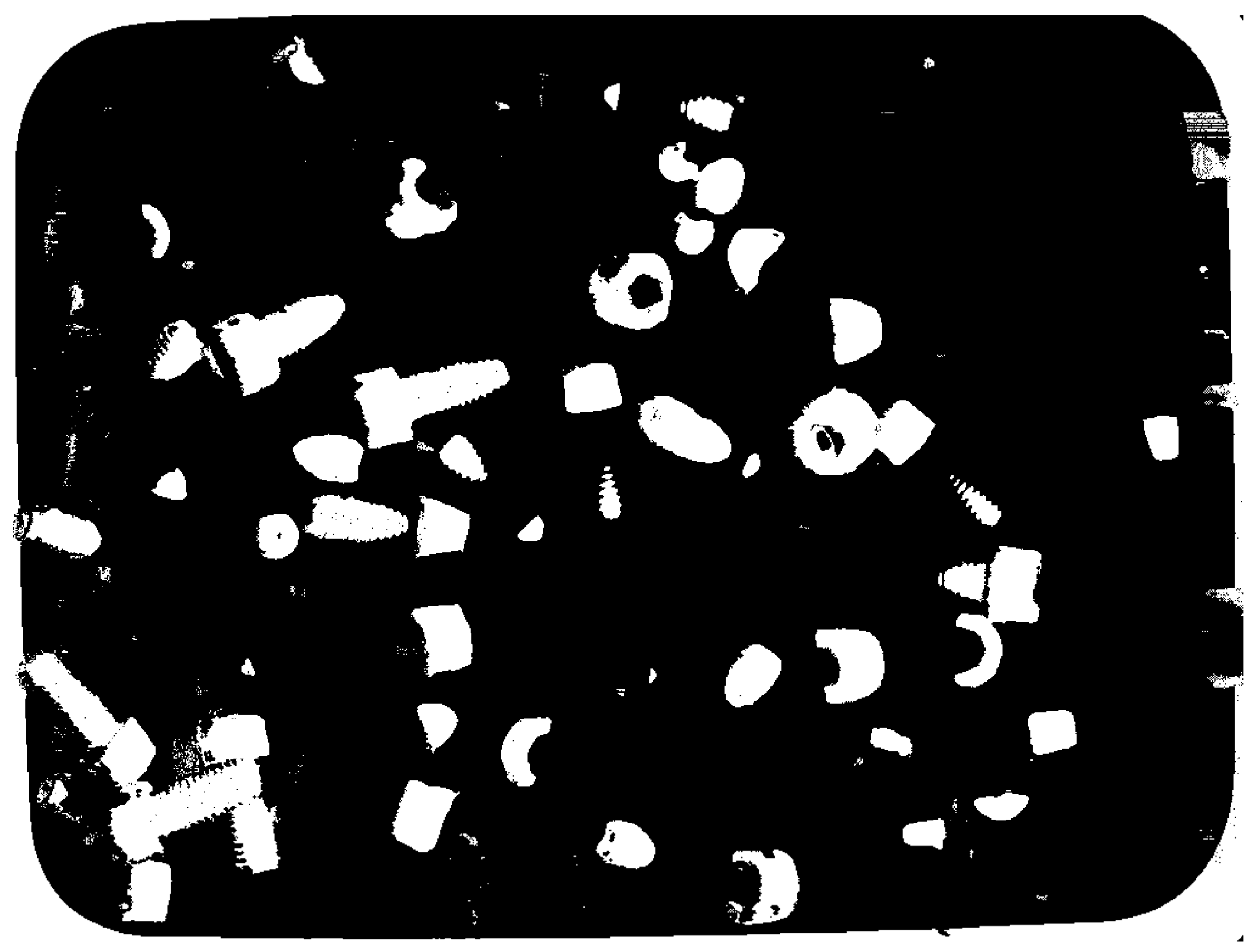 Applsci 14 00961 g005