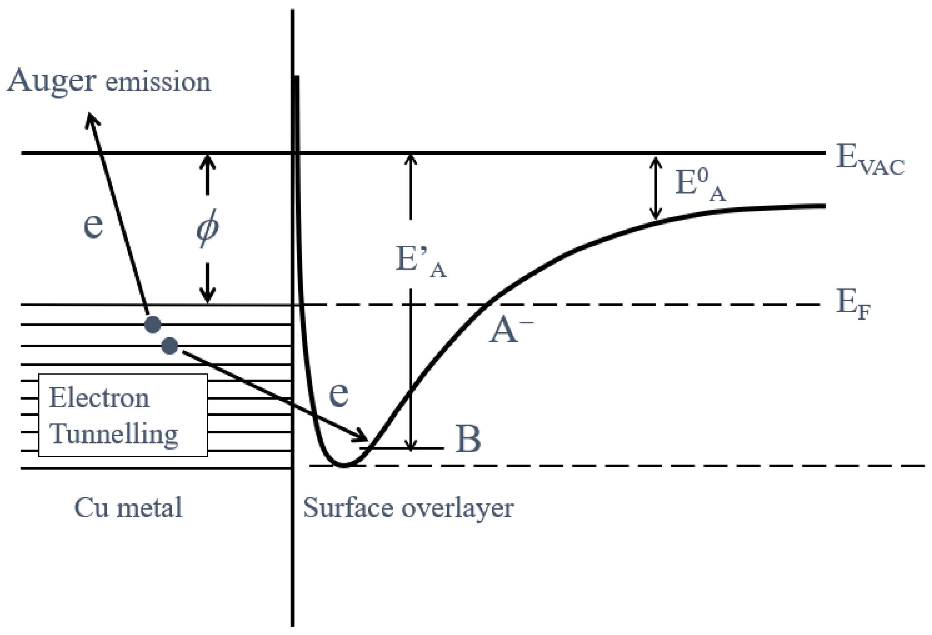 Applsci 14 00962 g013