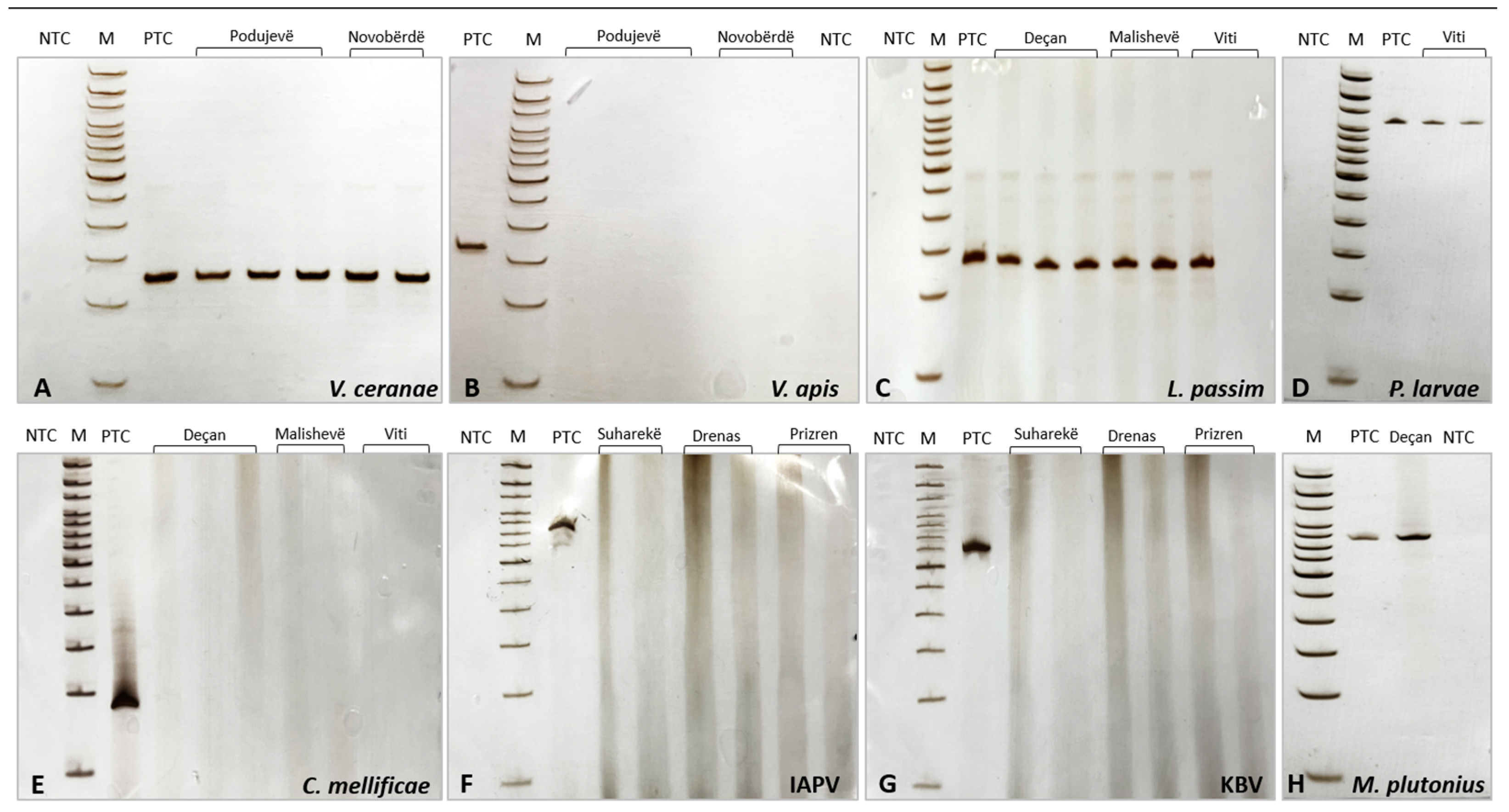 Applsci 14 00987 g003