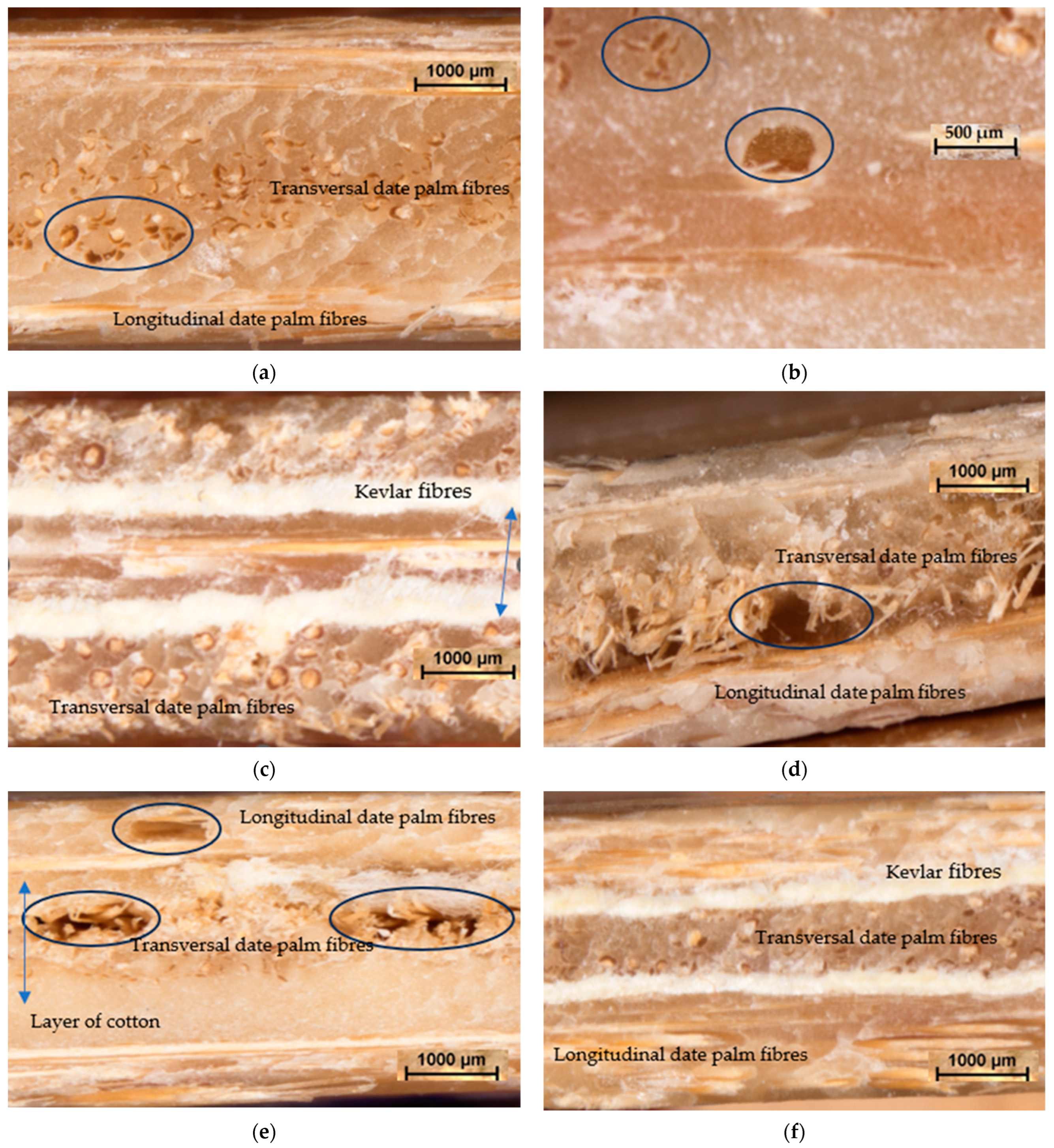 Applsci 14 01008 g008