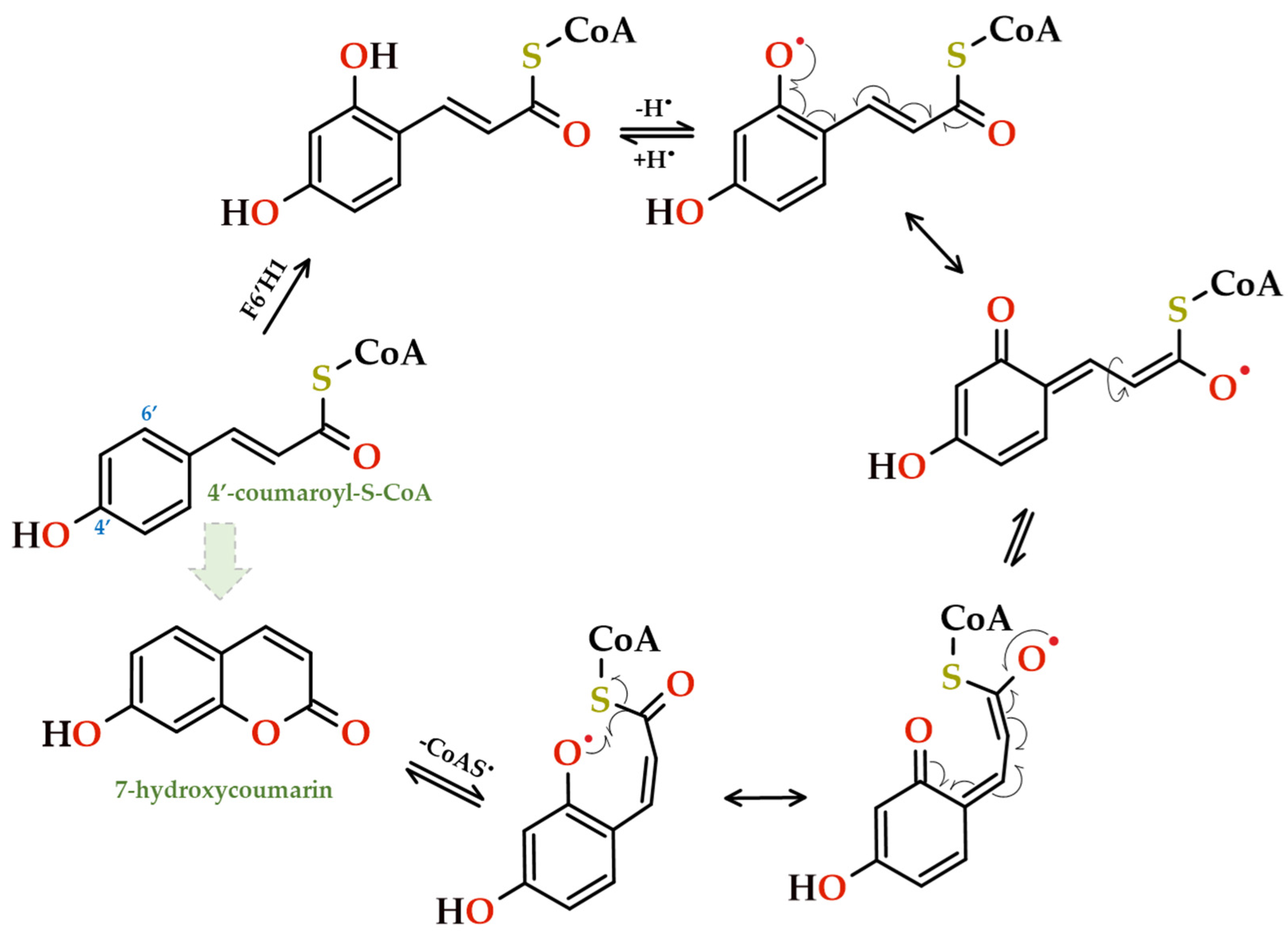 Applsci 14 01010 g011 Applsci 14 01010 g011