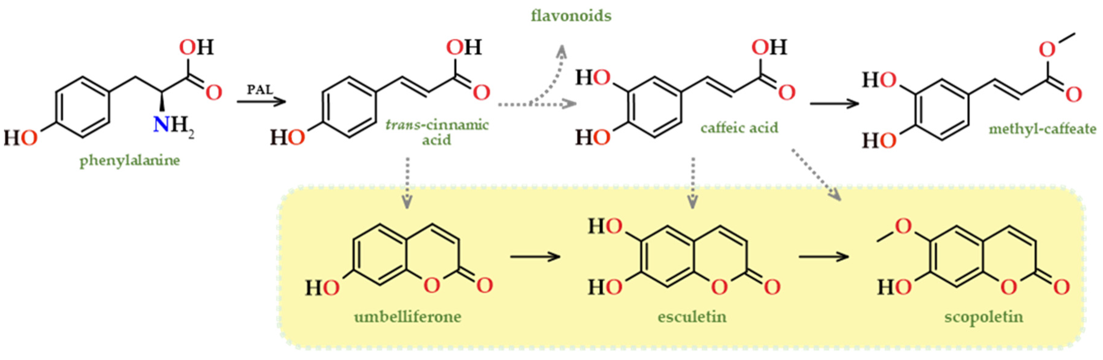 Applsci 14 01010 g012 Applsci 14 01010 g012