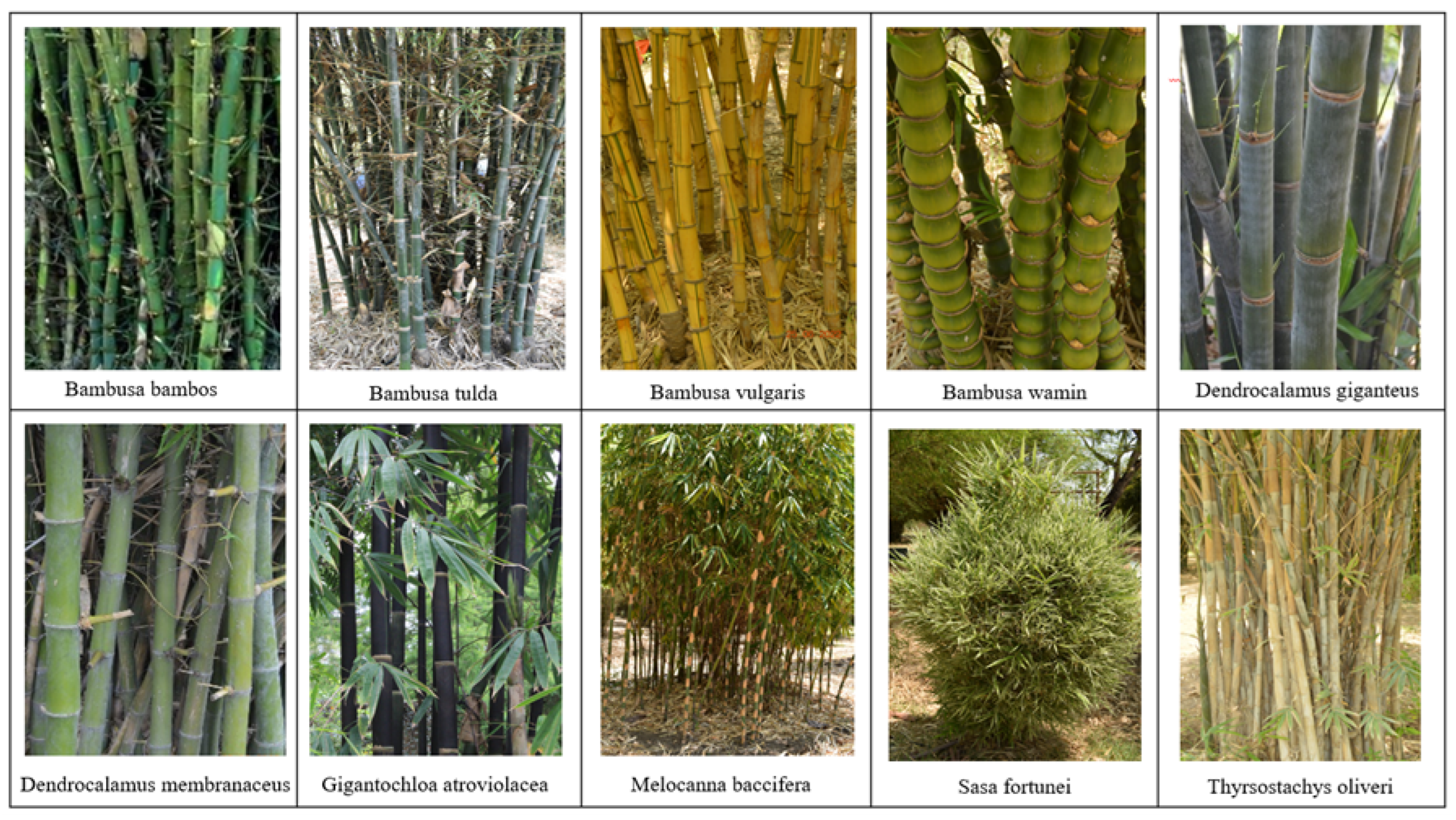 Applsci 14 01023 g004