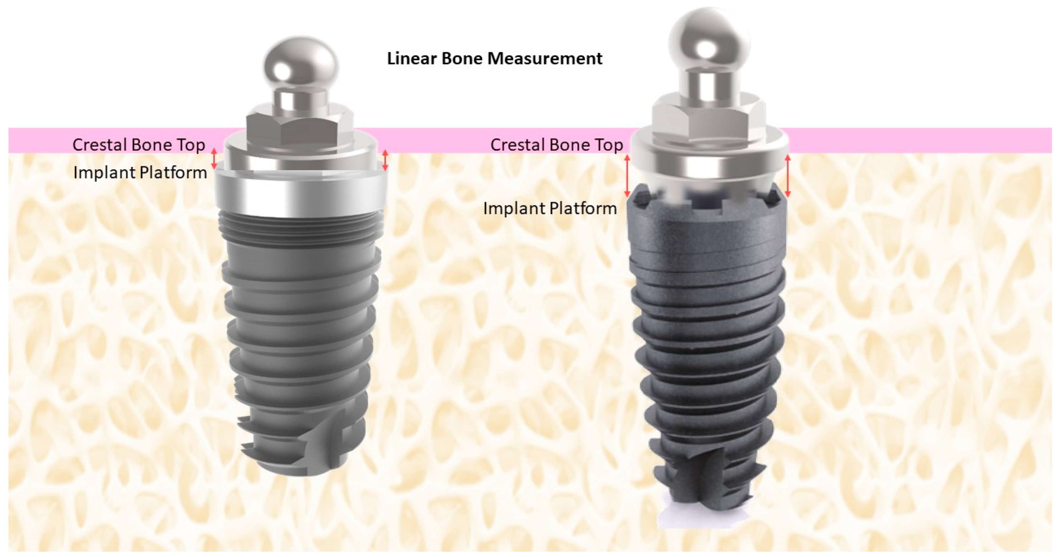 Applsci 14 01026 g001 Applsci 14 01026 g001
