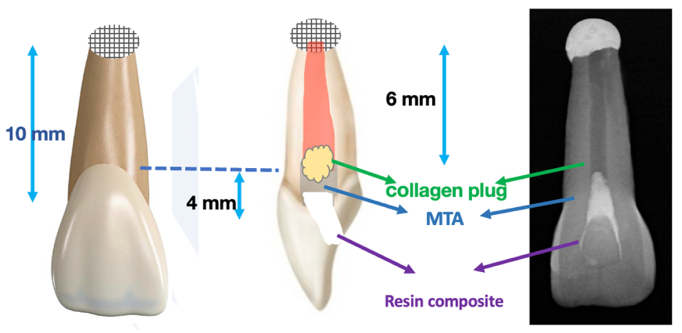 Applsci 14 01048 g001