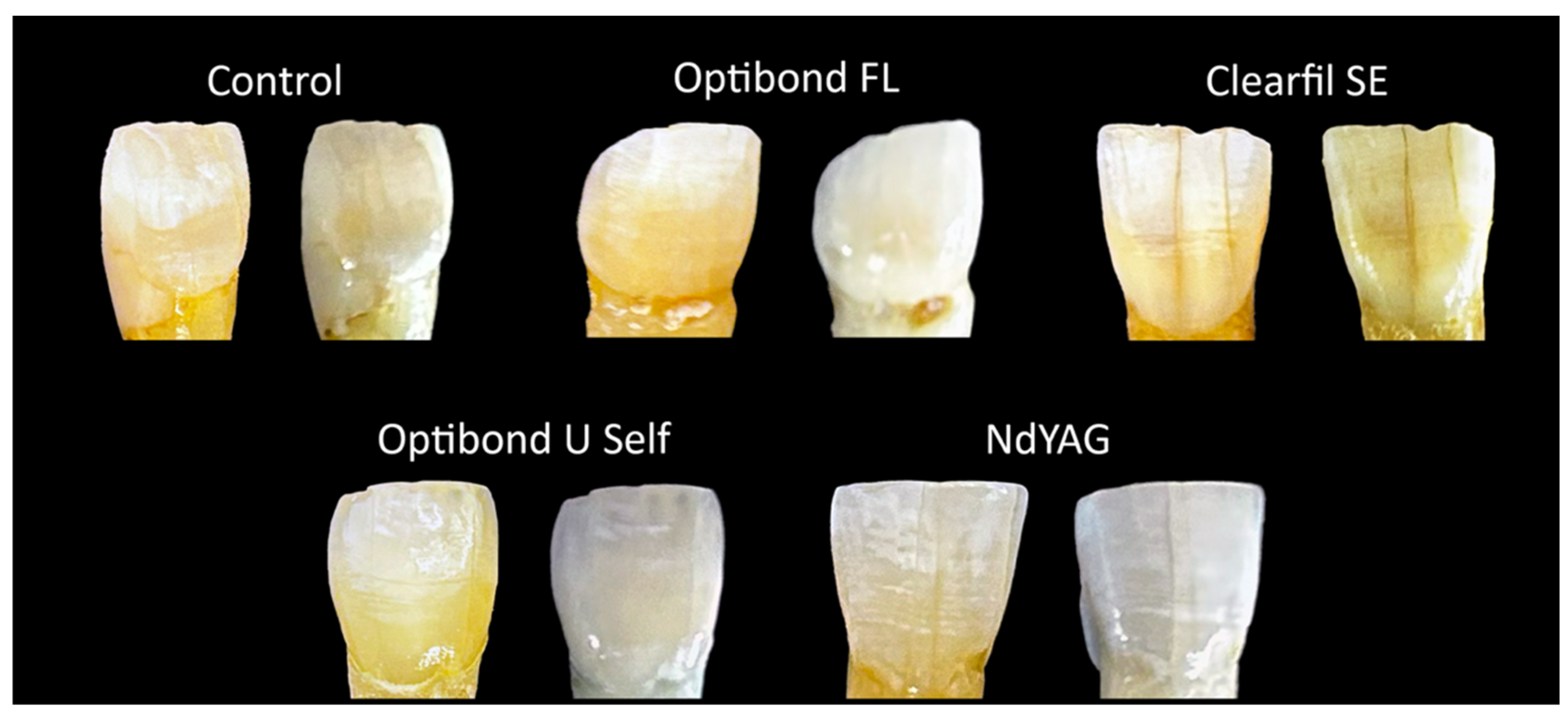 Applsci 14 01048 g004