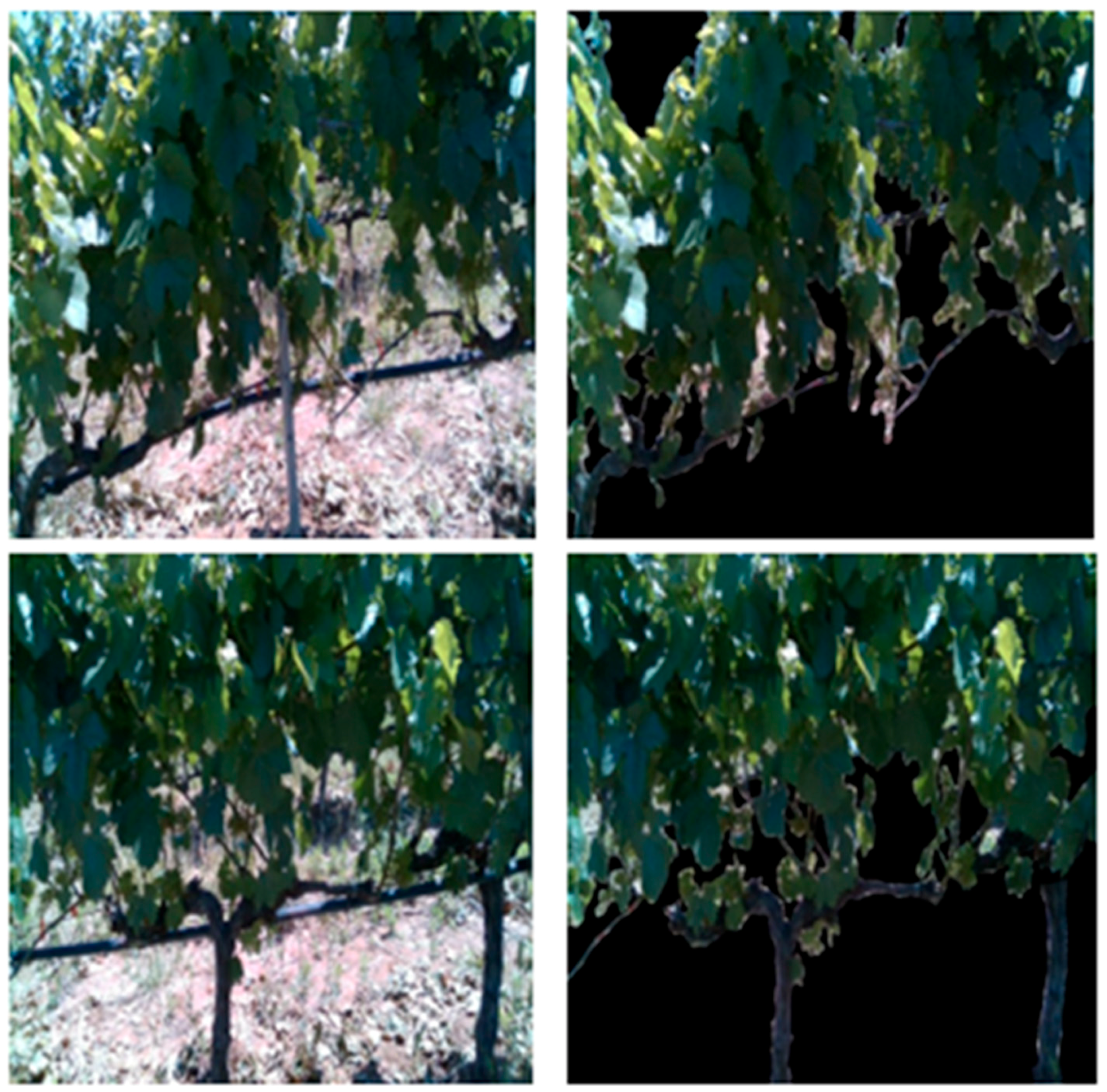 Applsci 14 01049 g012