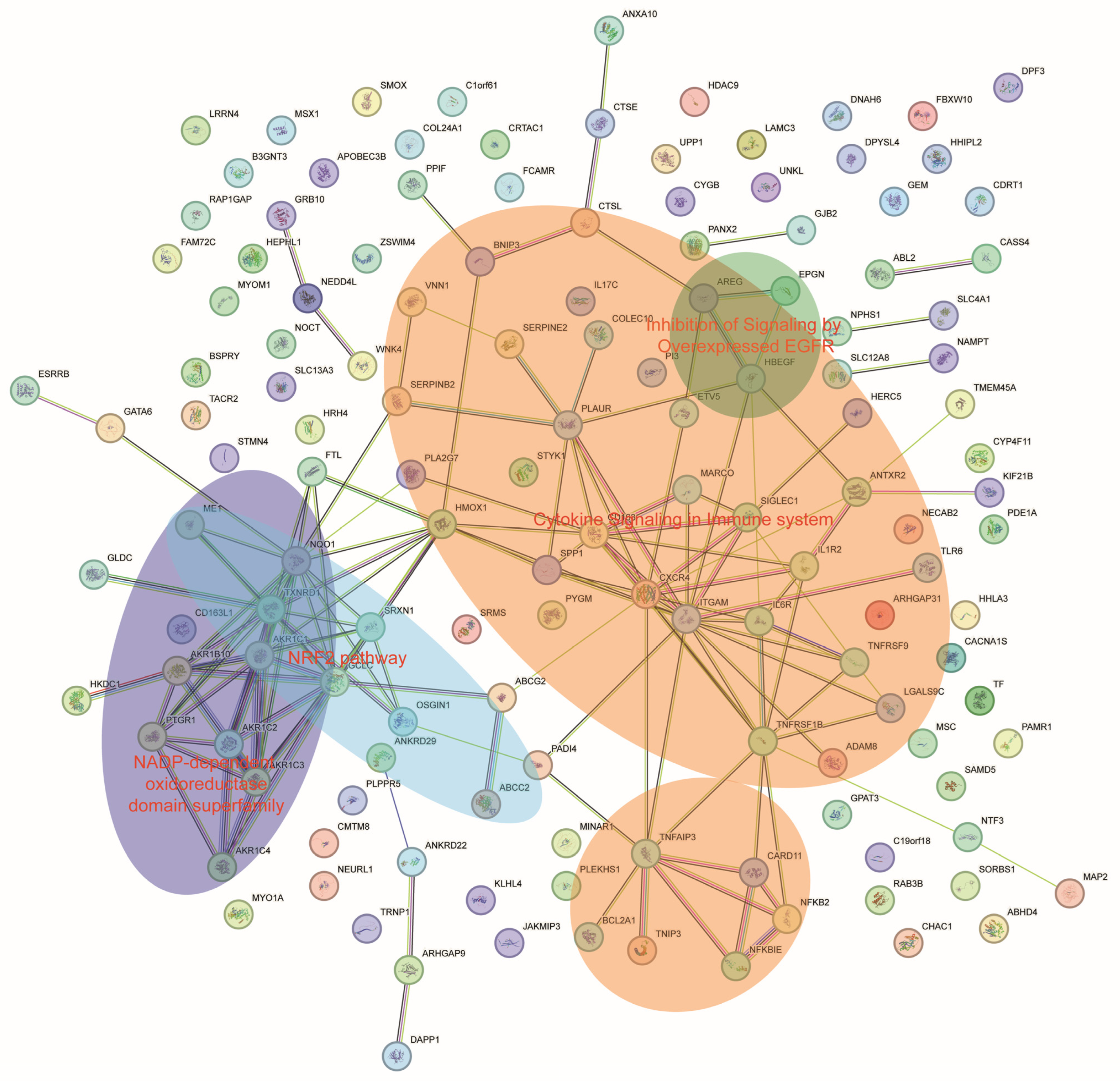 Applsci 14 01052 g004