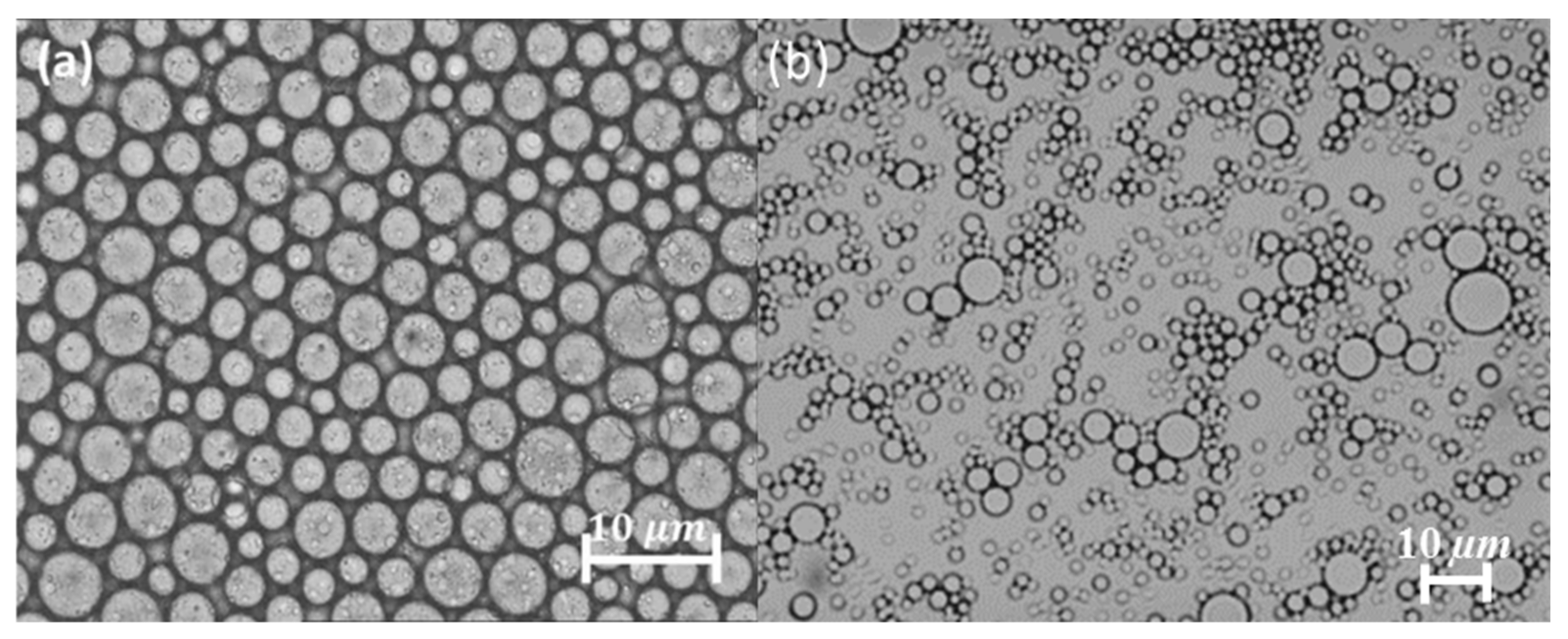 Applsci 14 01069 g002 Applsci 14 01069 g002