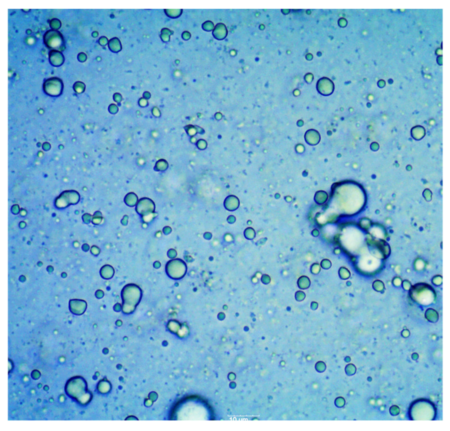 Applsci 14 01069 g003 Applsci 14 01069 g003