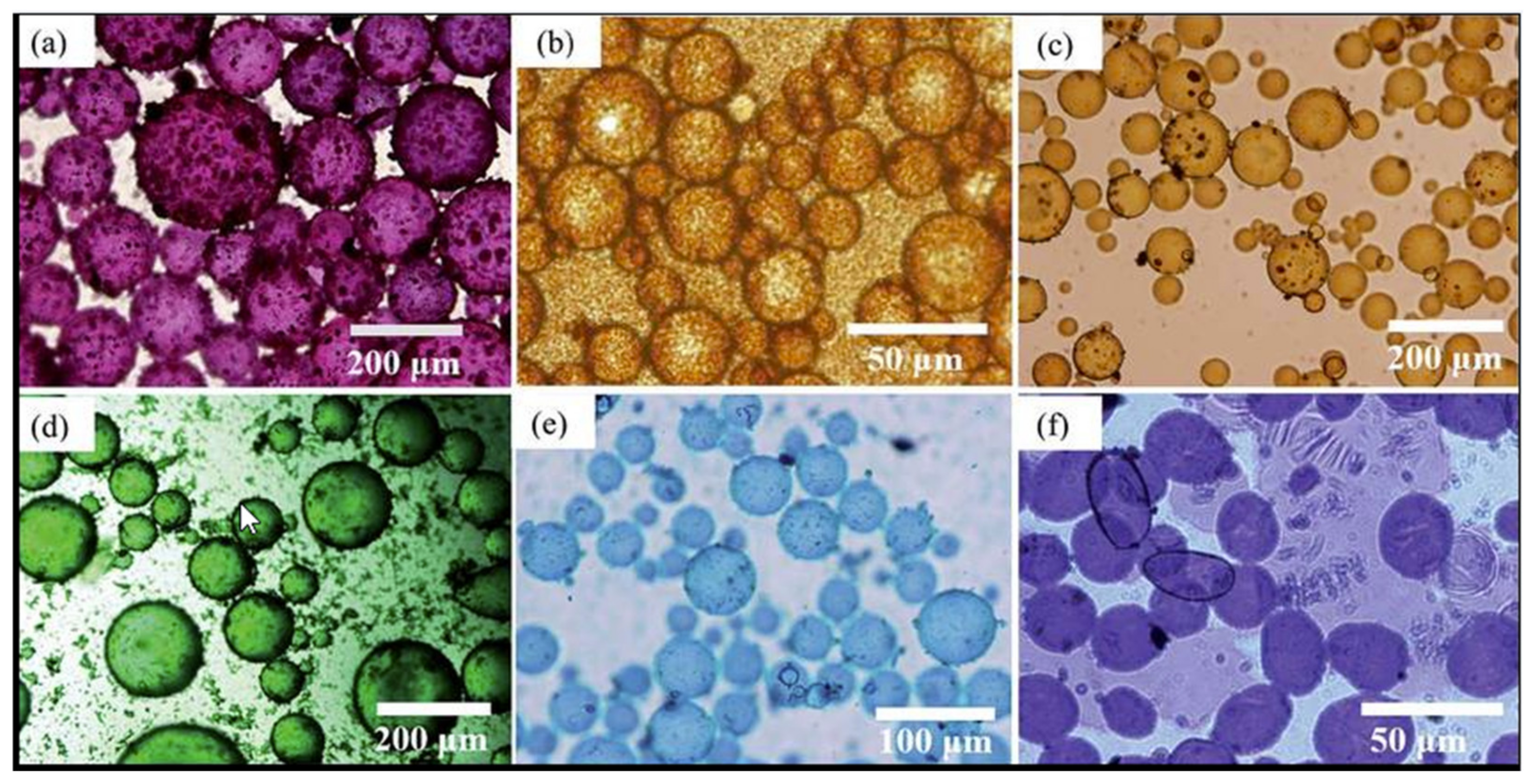 Applsci 14 01069 g004 Applsci 14 01069 g004