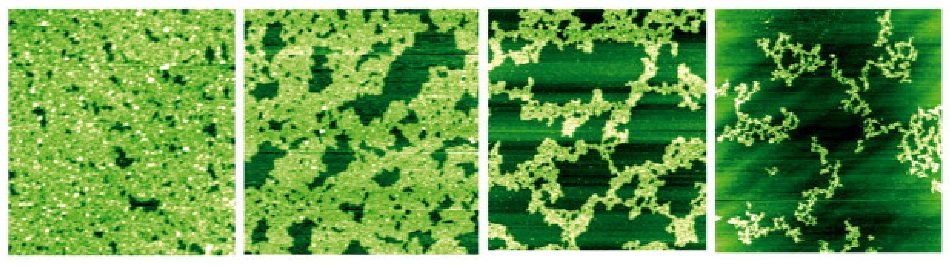 Applsci 14 01069 g007 Applsci 14 01069 g007