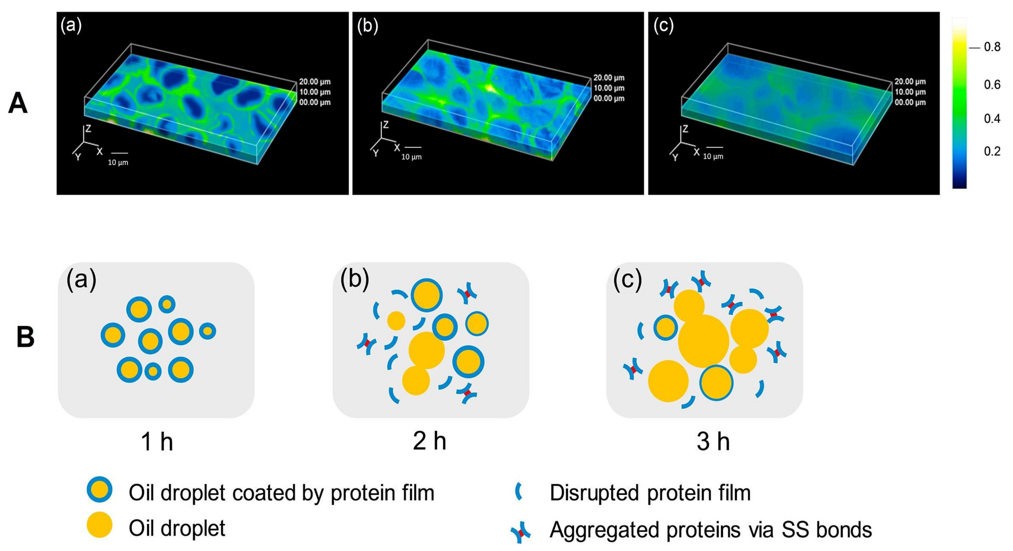 Applsci 14 01069 g013 Applsci 14 01069 g013