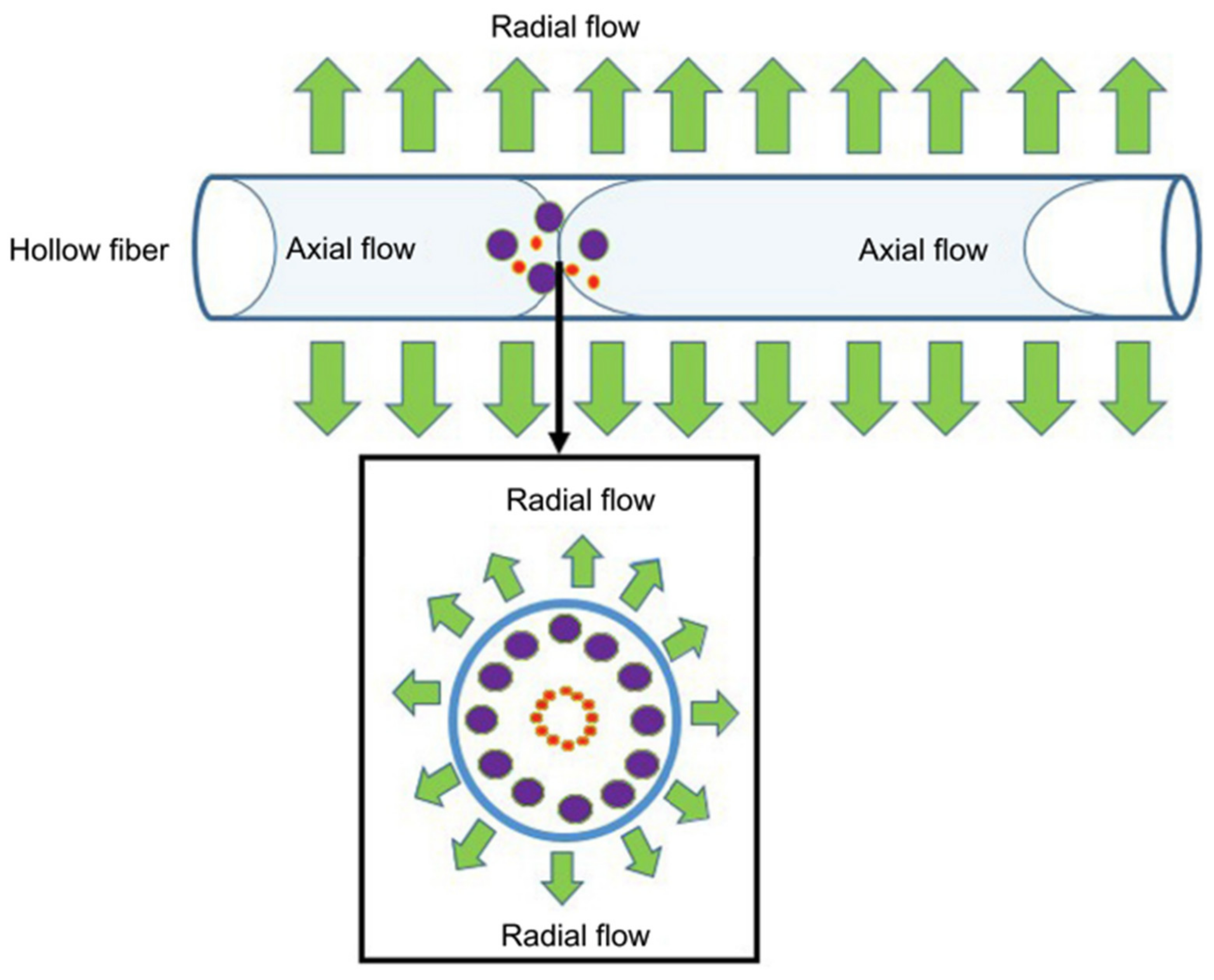 Applsci 14 01069 g018 Applsci 14 01069 g018