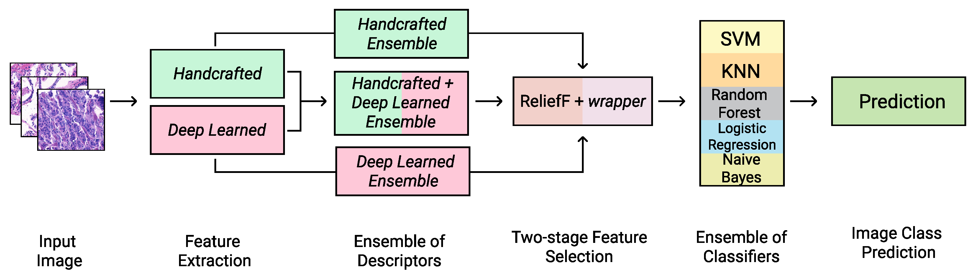 Applsci 14 01084 g001