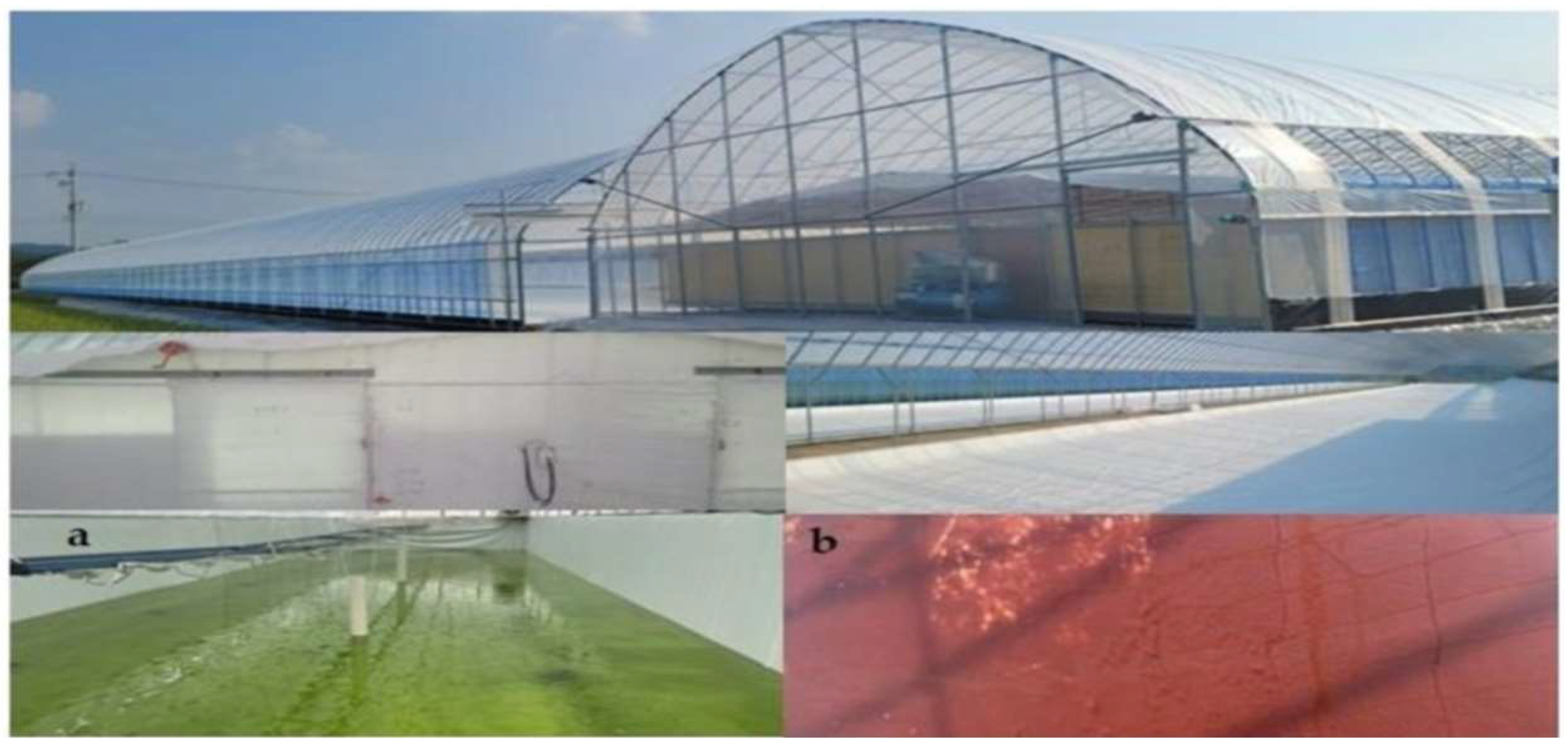 Applsci 14 01104 g008