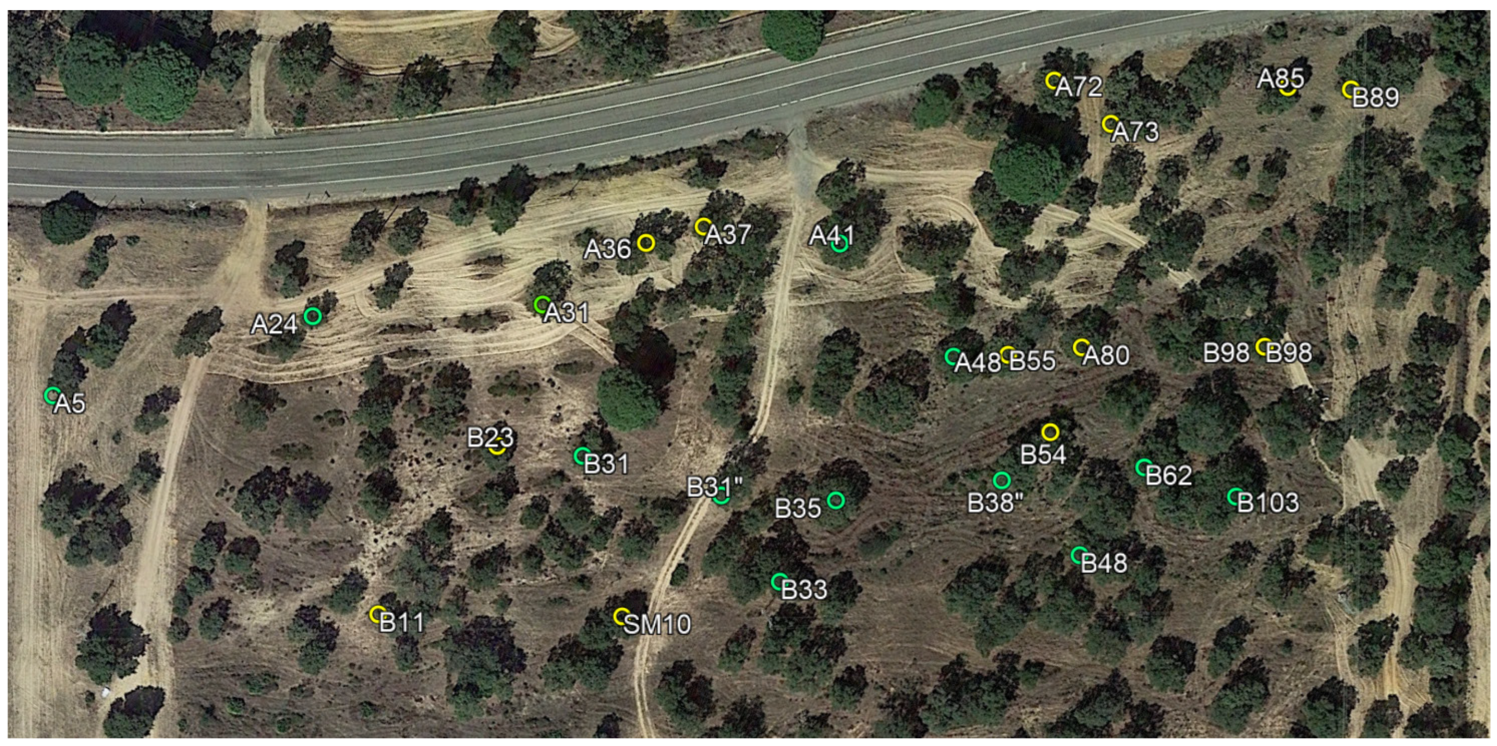 Applsci 14 01112 g001