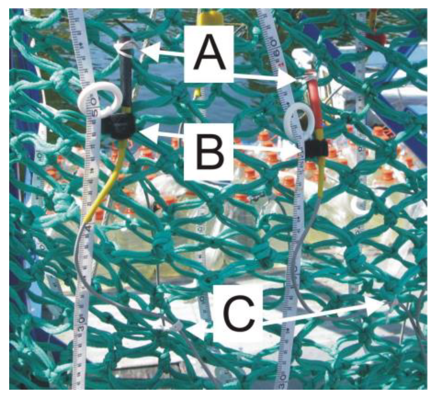 Applsci 14 01131 g003