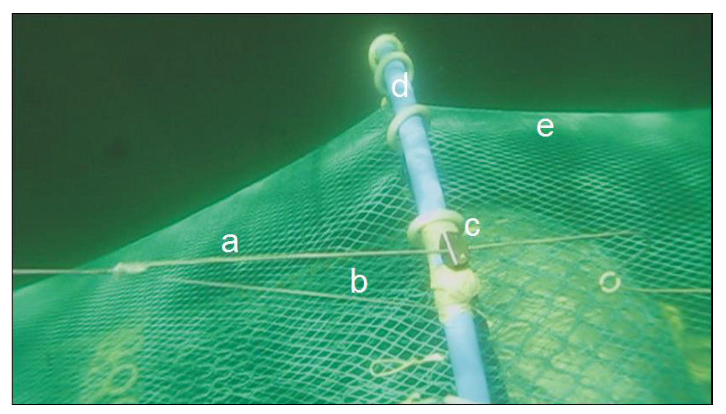 Applsci 14 01131 g014