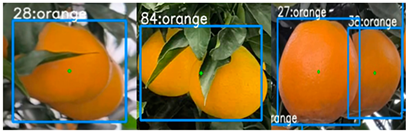 Applsci 14 01136 i002