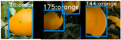 Applsci 14 01136 i006