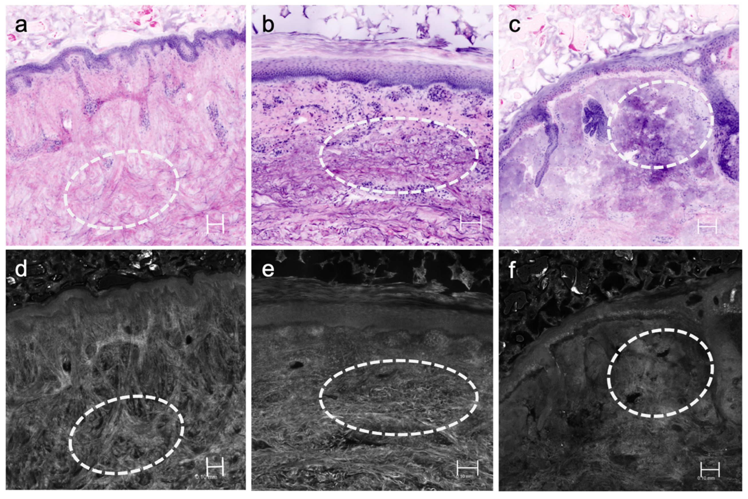 Applsci 14 01150 g004
