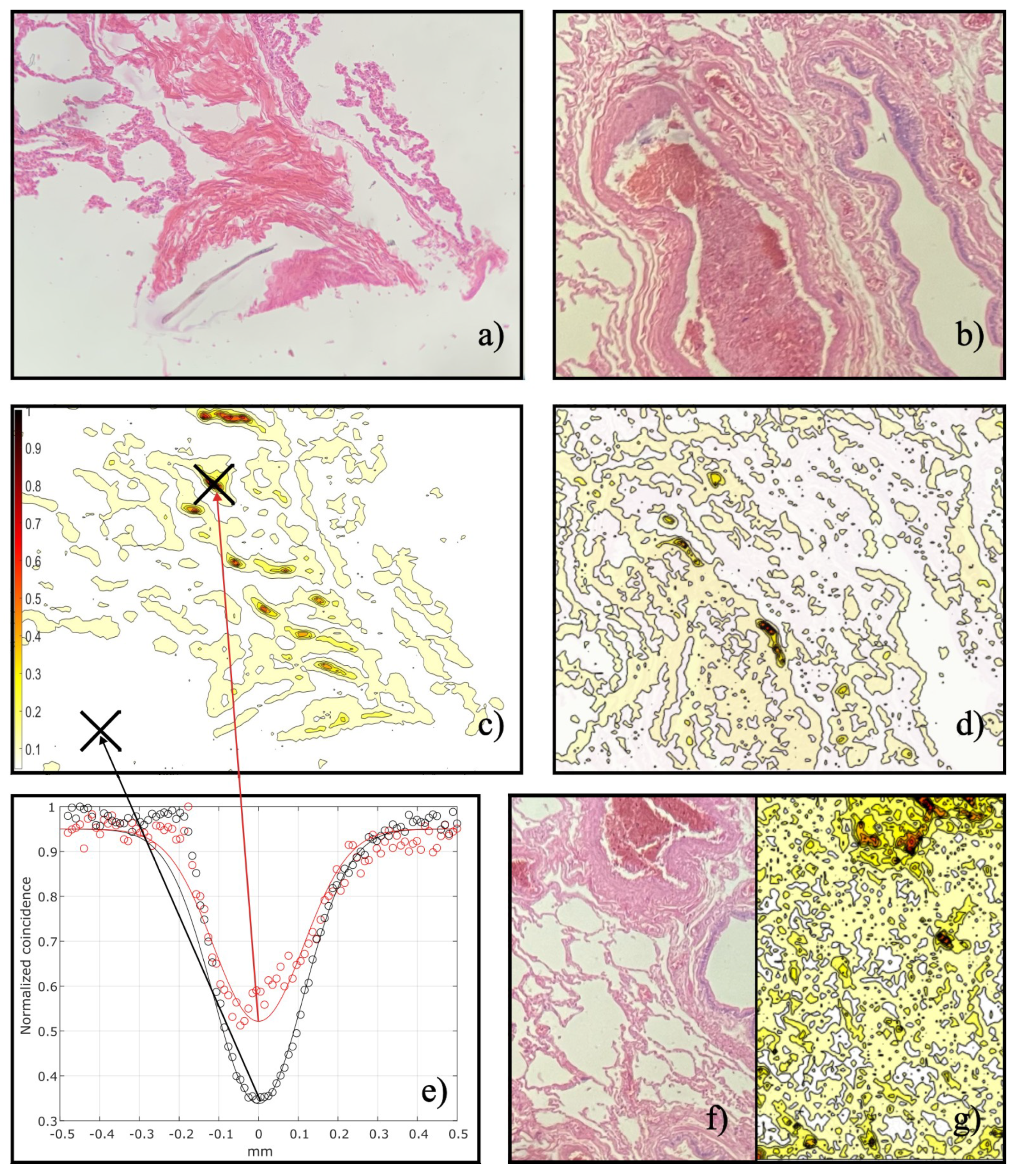 Applsci 14 01168 g004