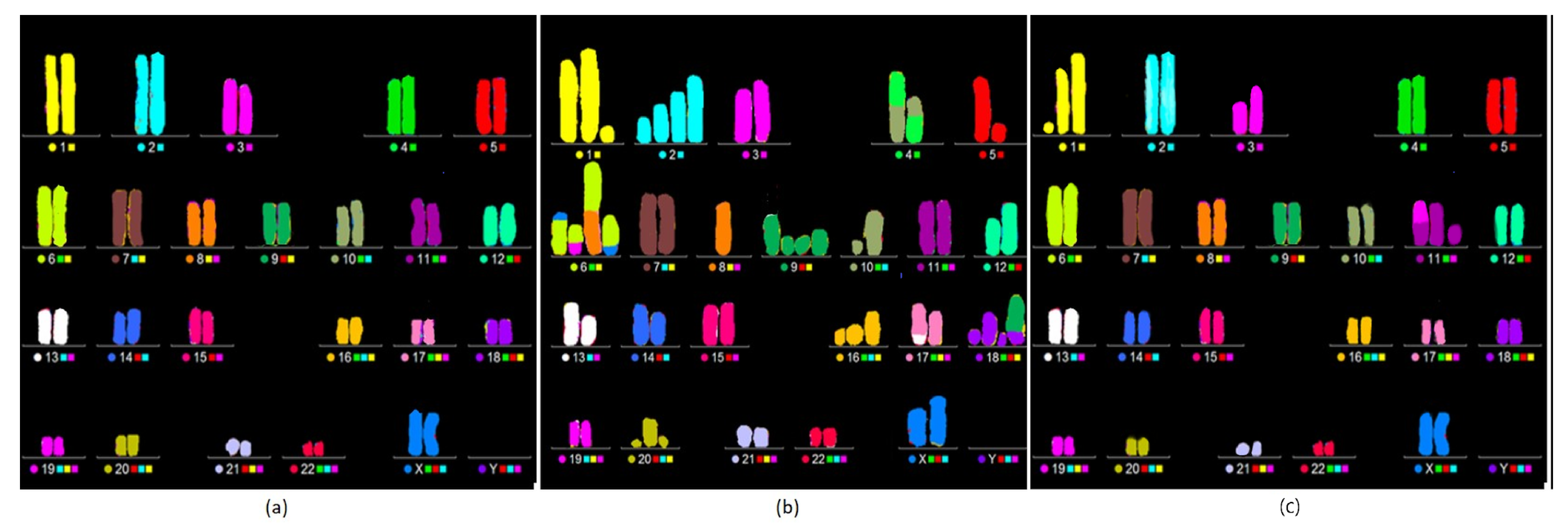Applsci 14 01171 g005
