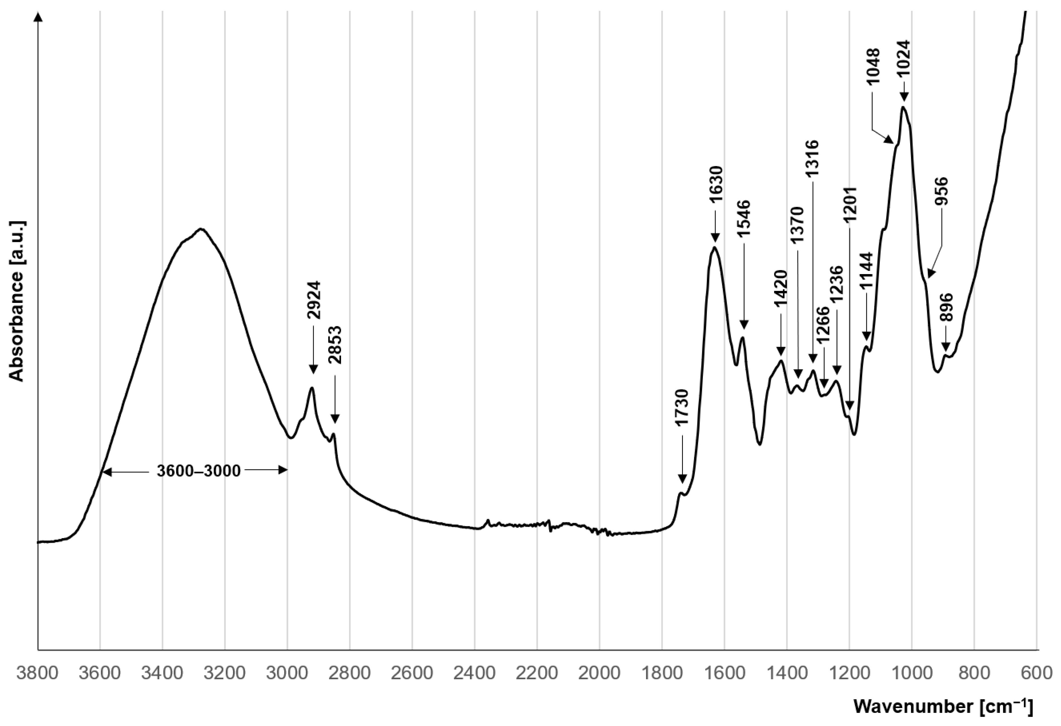 Applsci 14 01174 g001