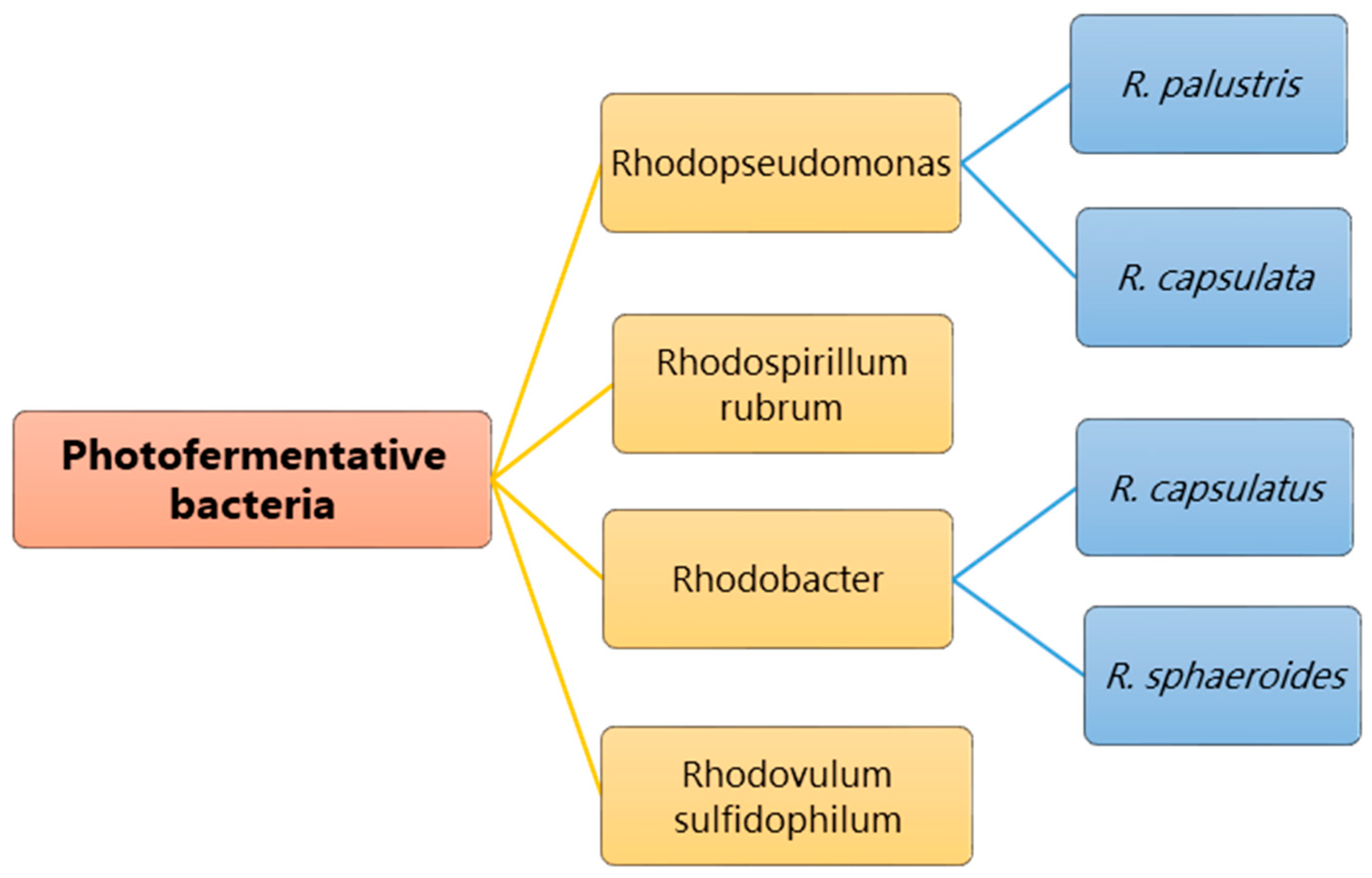Applsci 14 01191 g002