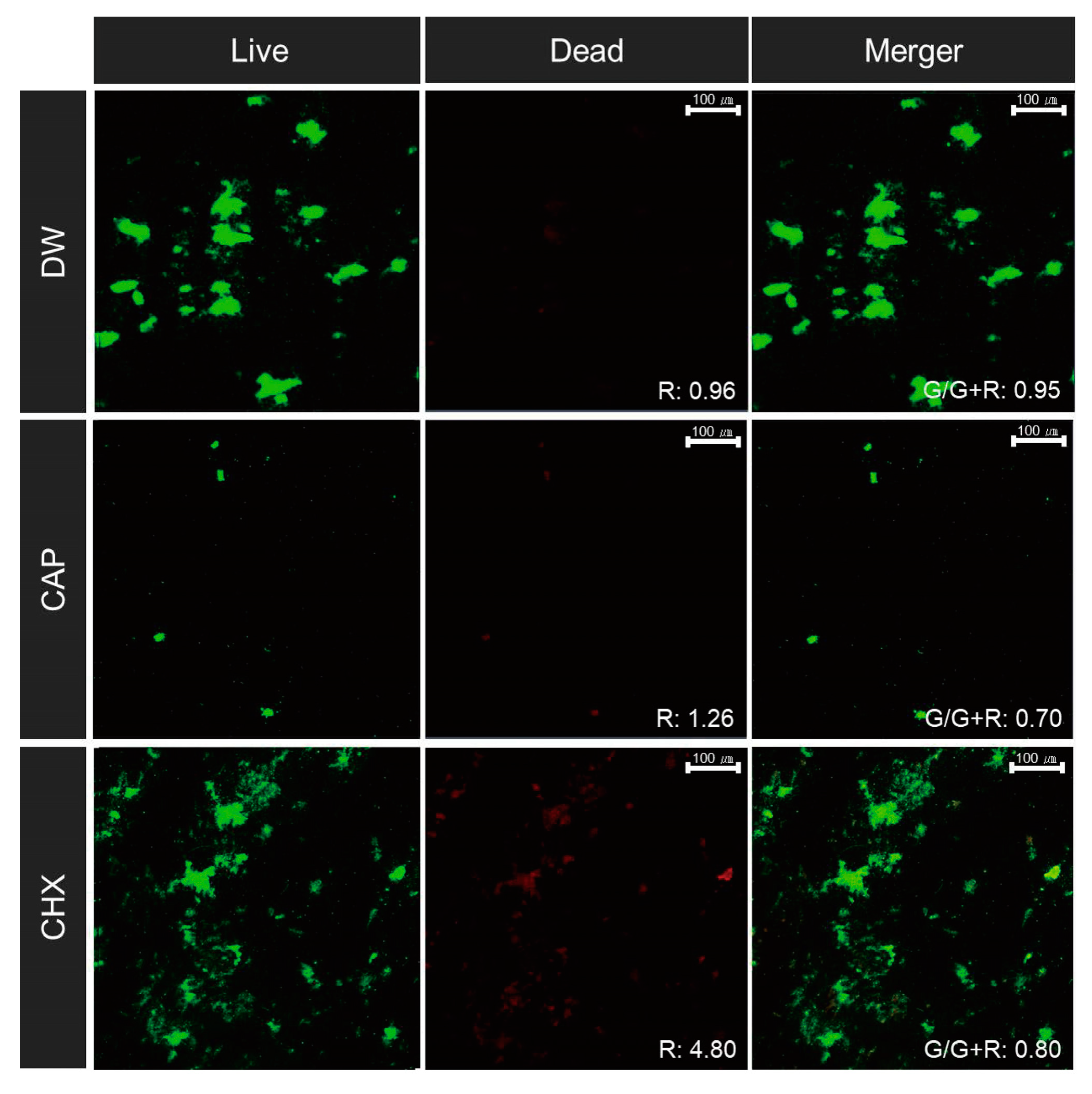 Applsci 14 01211 g007