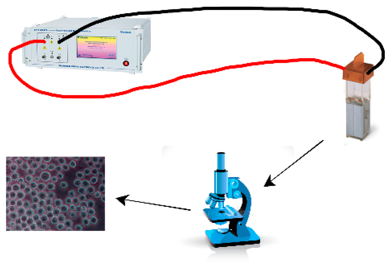 Applsci 14 01213 g010