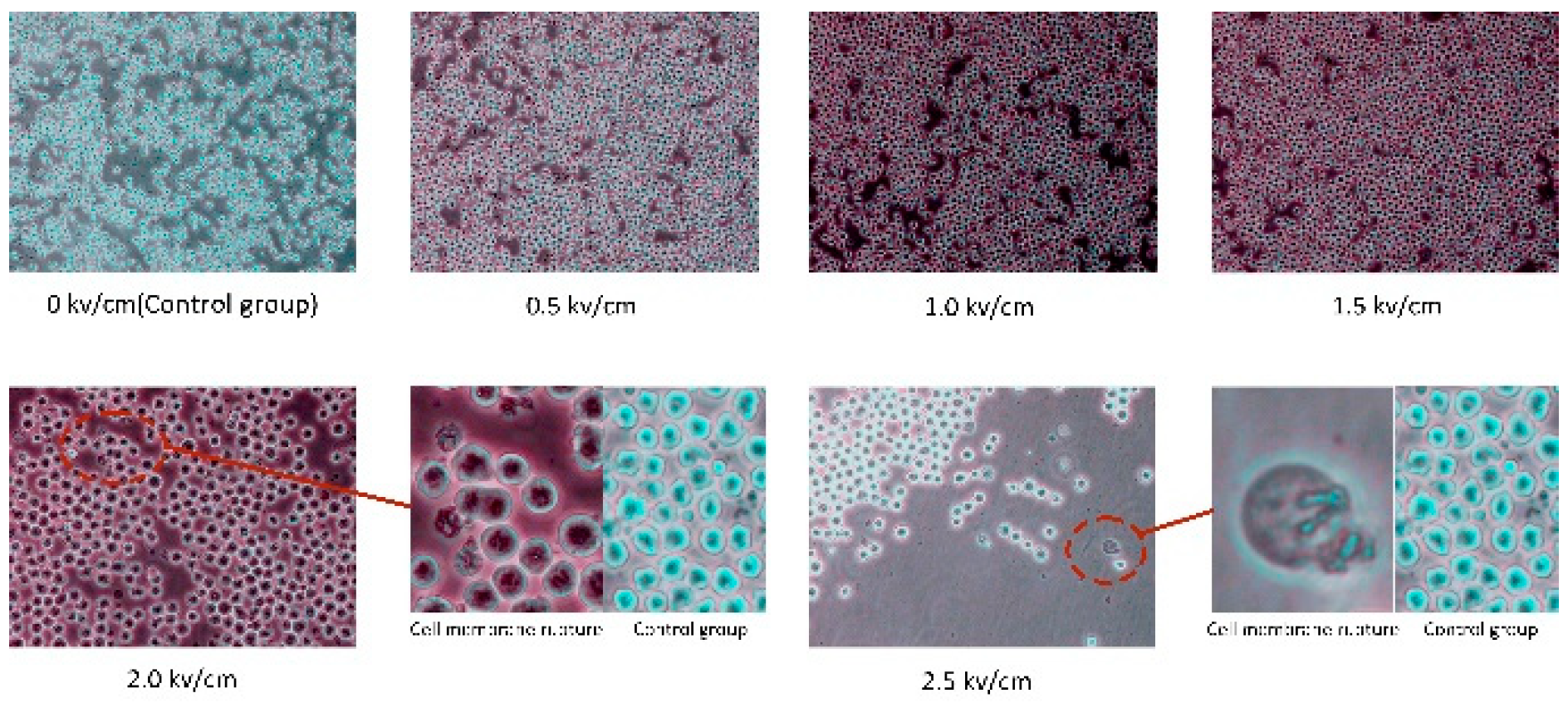 Applsci 14 01213 g011