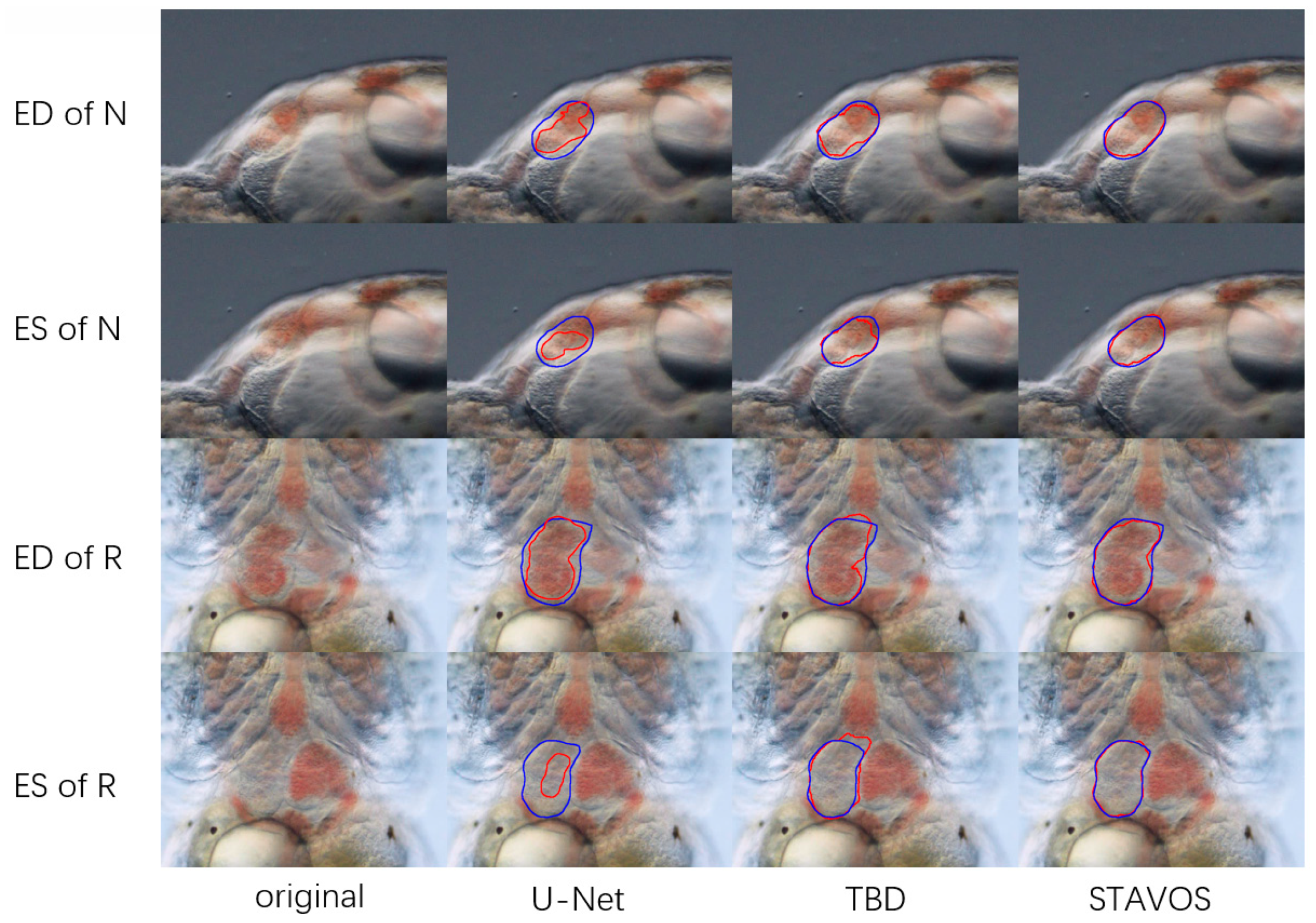 Applsci 14 01239 g006