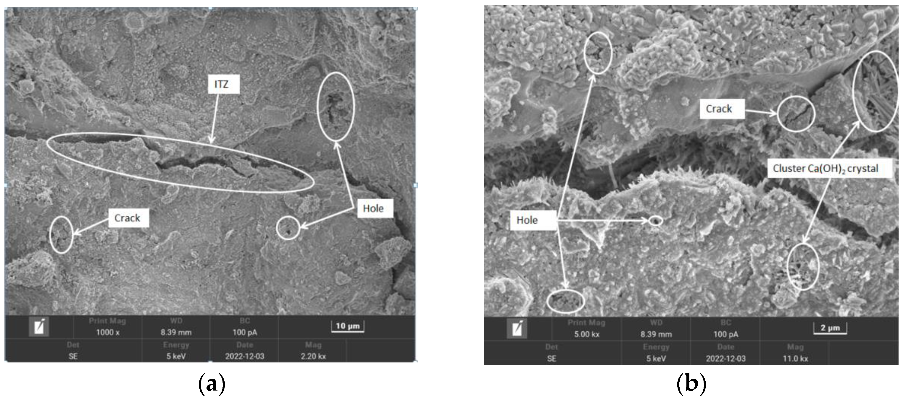 Applsci 14 01247 g012