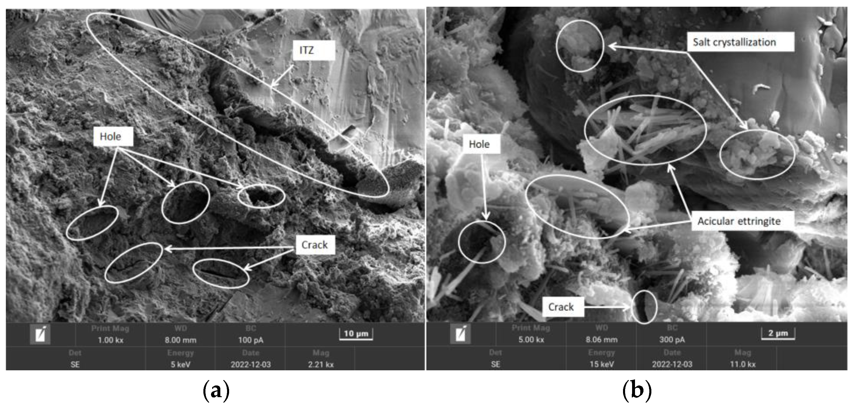 Applsci 14 01247 g013