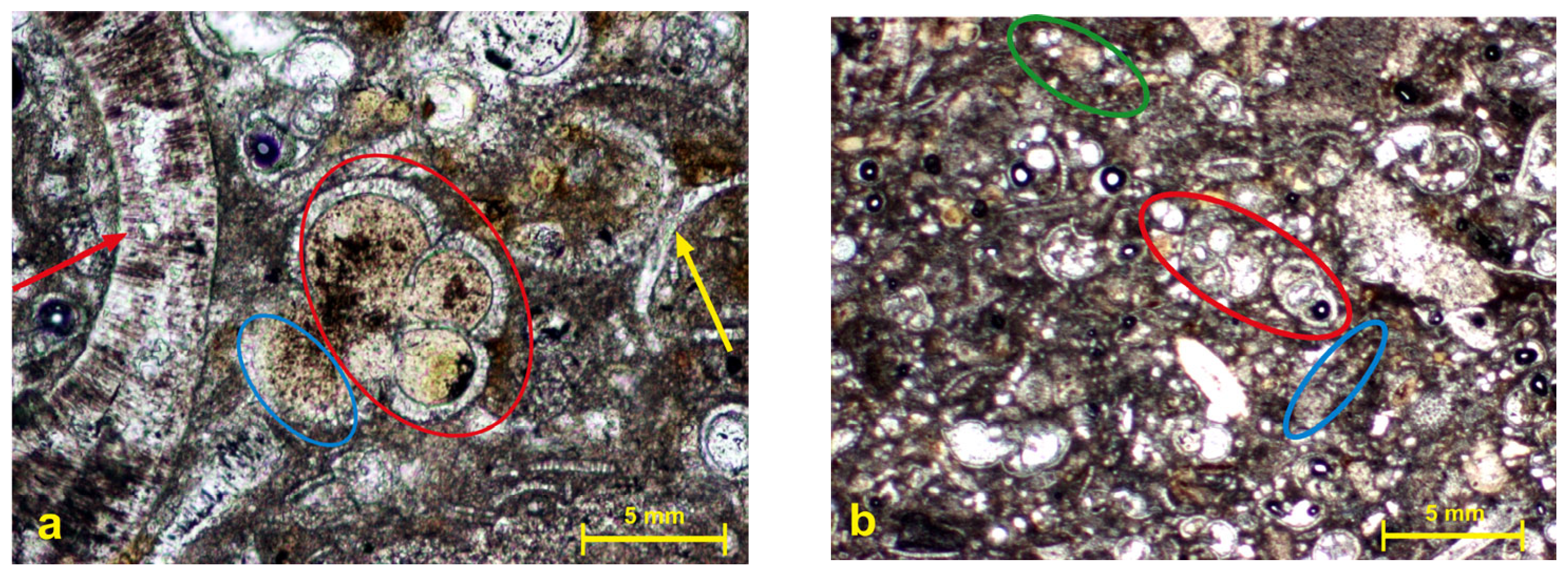 Applsci 14 01261 g002 Applsci 14 01261 g002