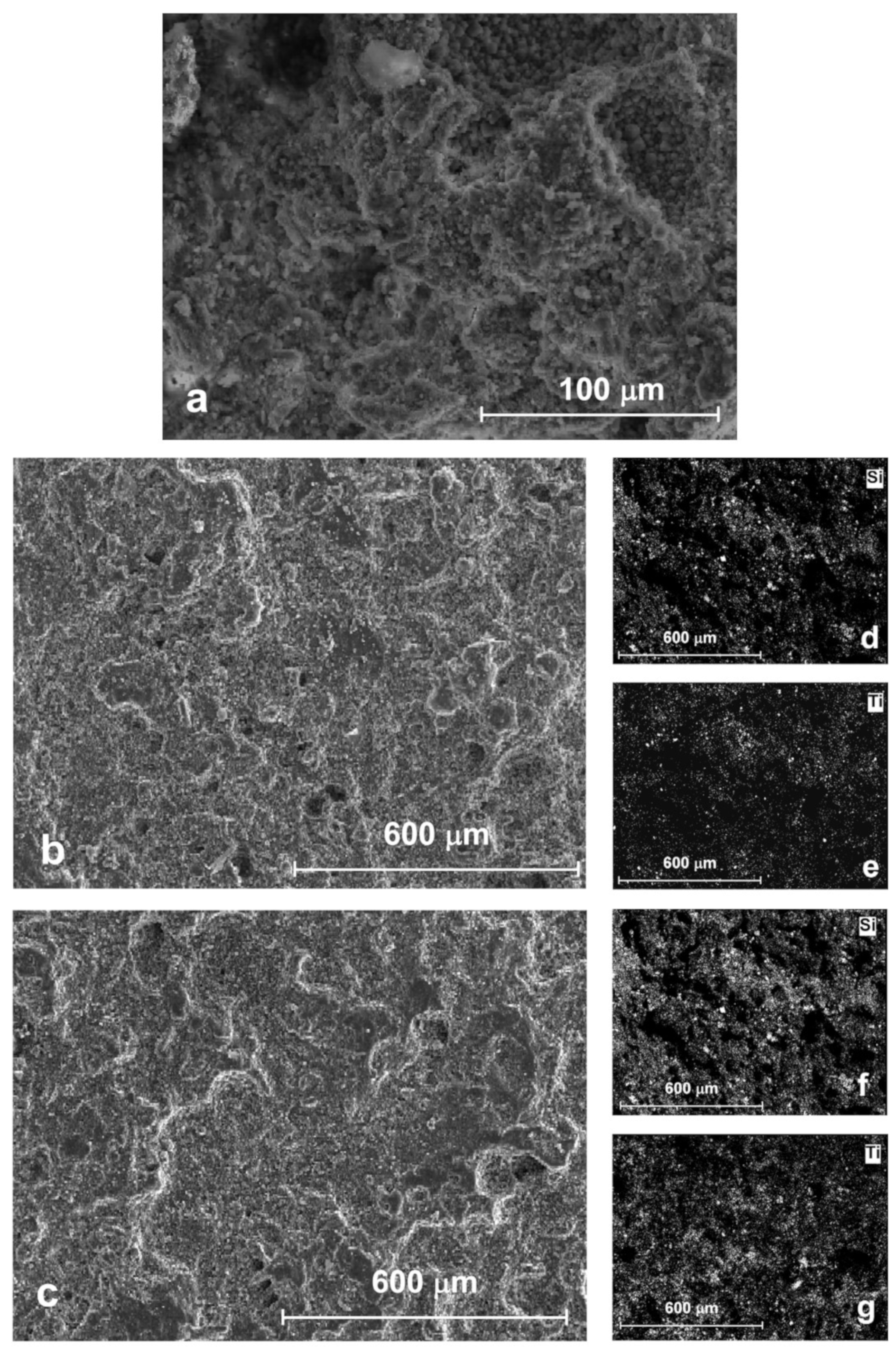 Applsci 14 01261 g004 Applsci 14 01261 g004