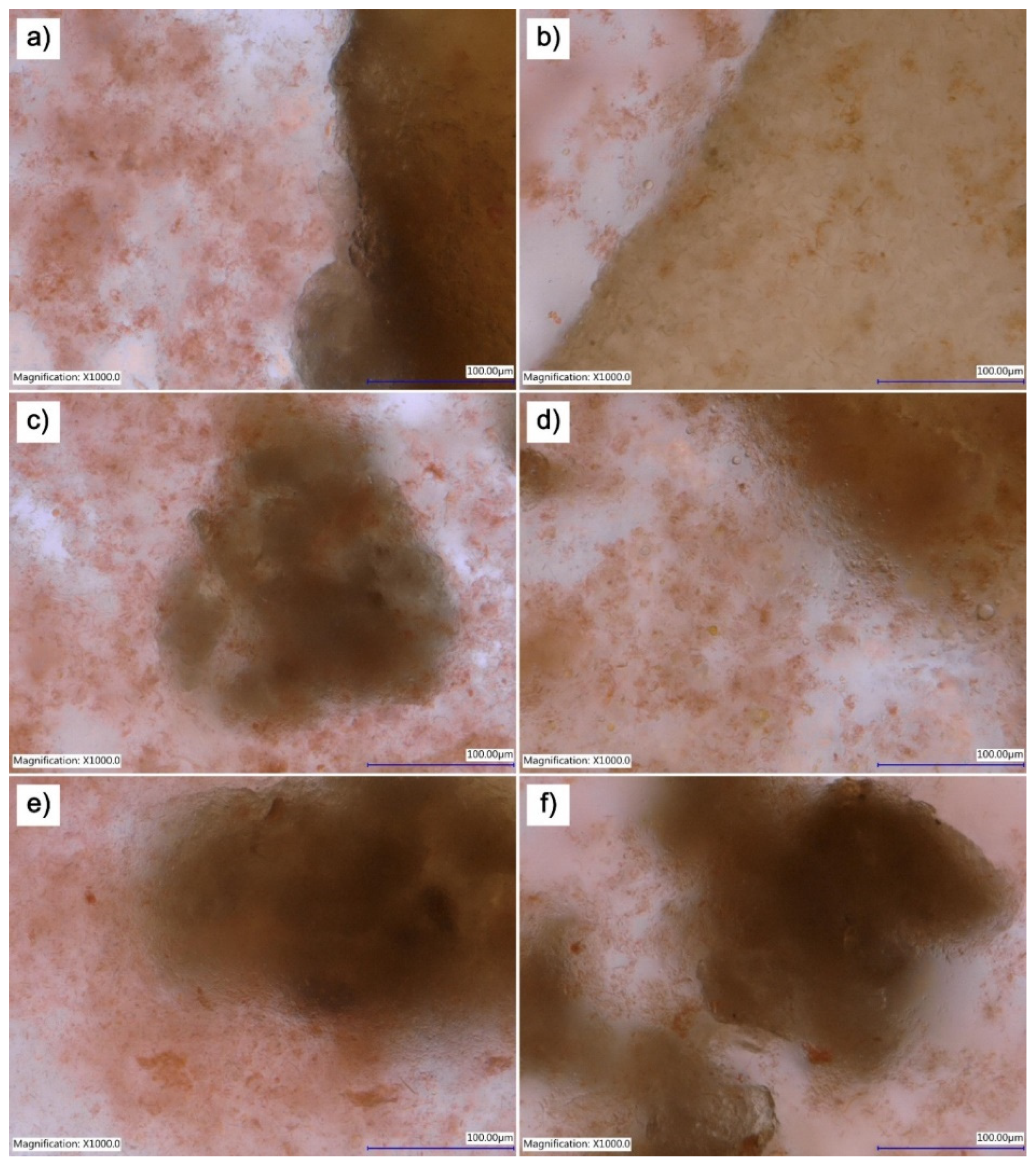 Applsci 14 01263 g003