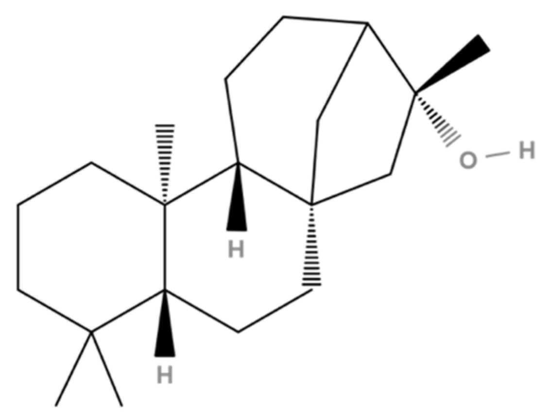 Applsci 14 01274 g001 Applsci 14 01274 g001