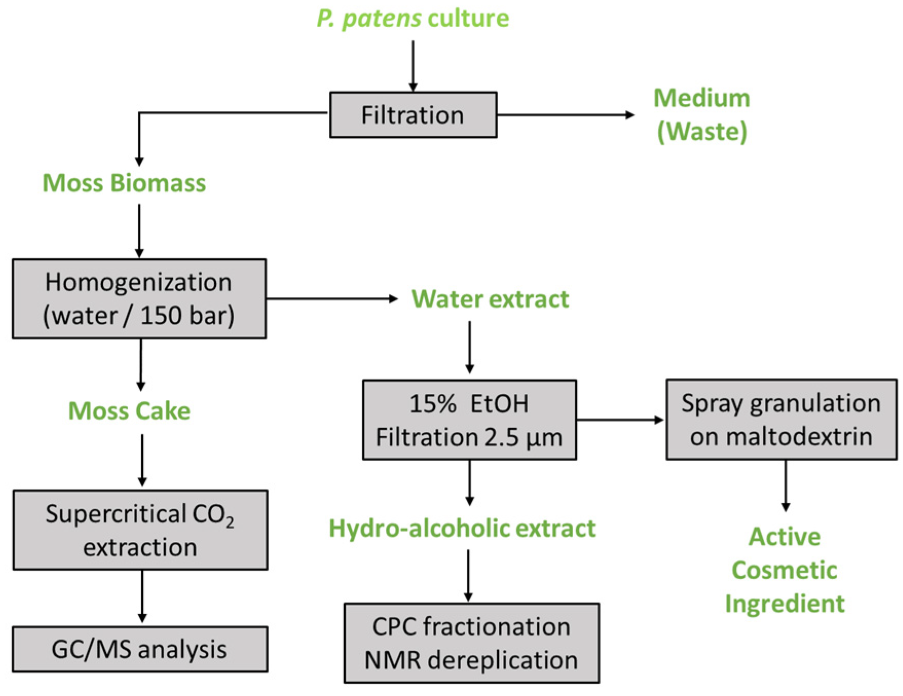 Applsci 14 01274 g003 Applsci 14 01274 g003