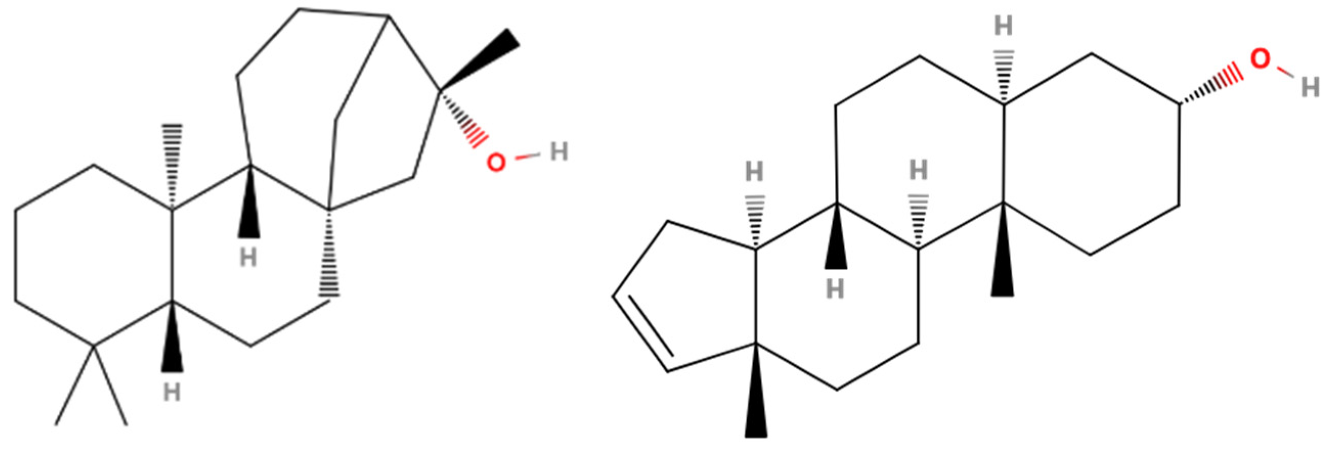 Applsci 14 01274 g008 Applsci 14 01274 g008