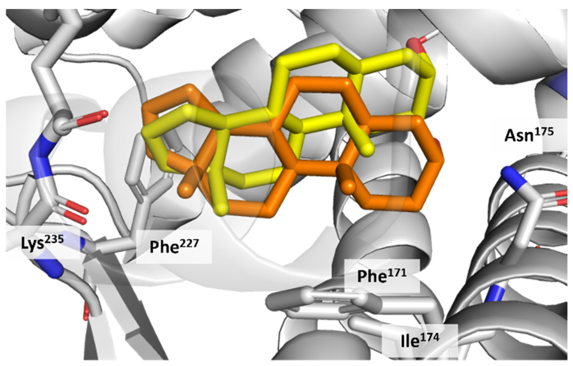 Applsci 14 01274 g009 Applsci 14 01274 g009