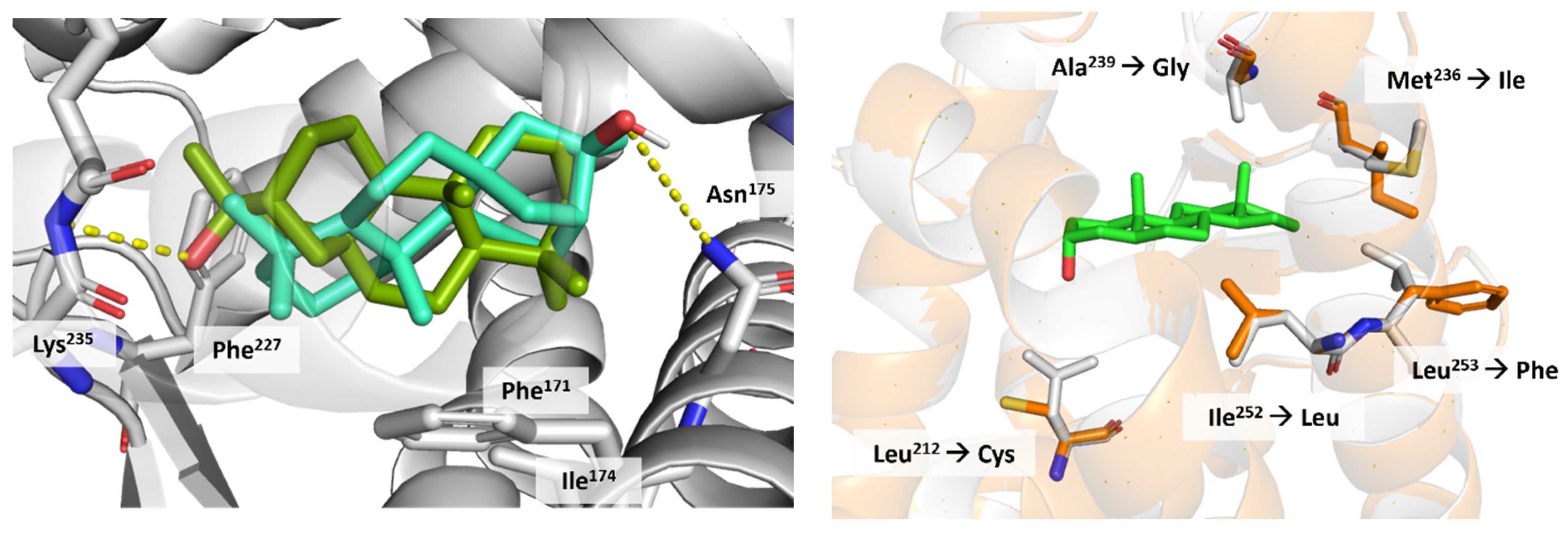 Applsci 14 01274 g010 Applsci 14 01274 g010
