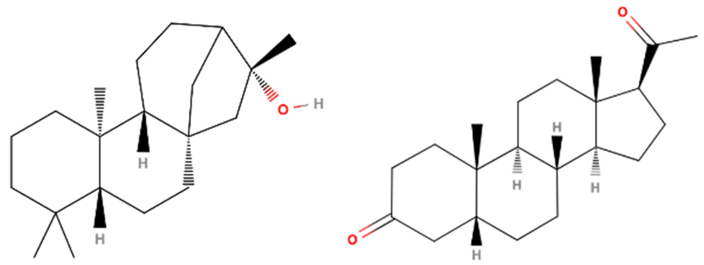 Applsci 14 01274 g013 Applsci 14 01274 g013