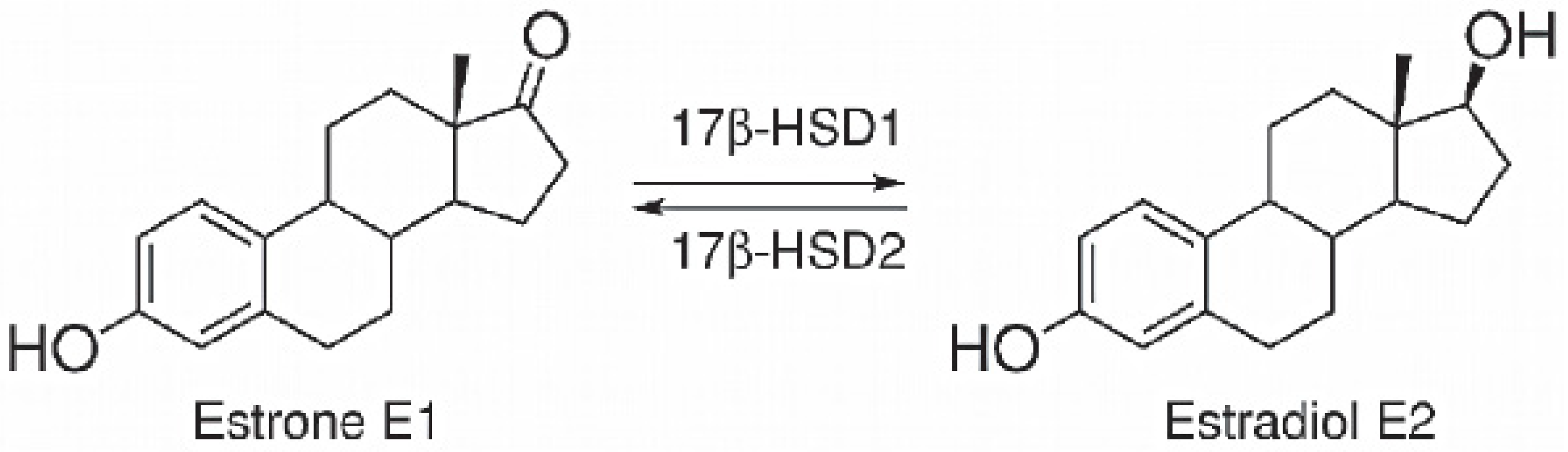 Applsci 14 01274 g018 Applsci 14 01274 g018