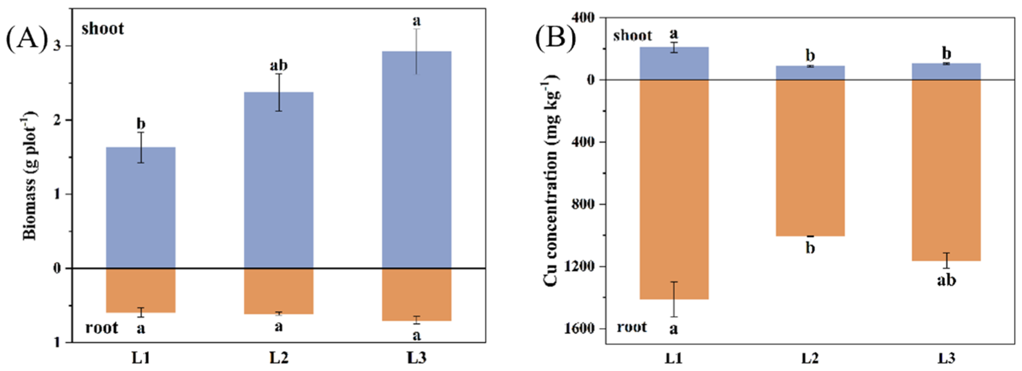 Applsci 14 01289 g004