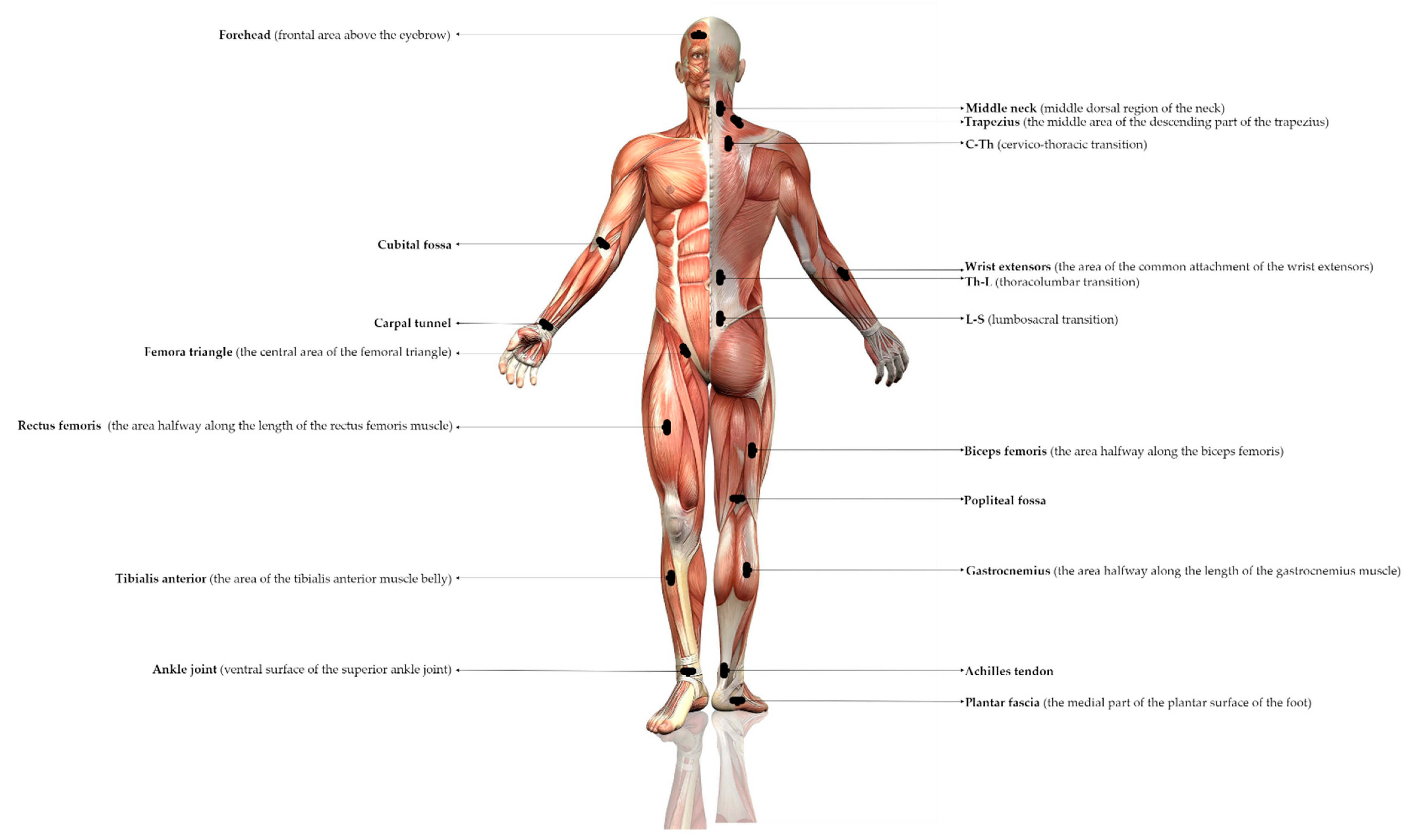 Applsci 14 01307 g002