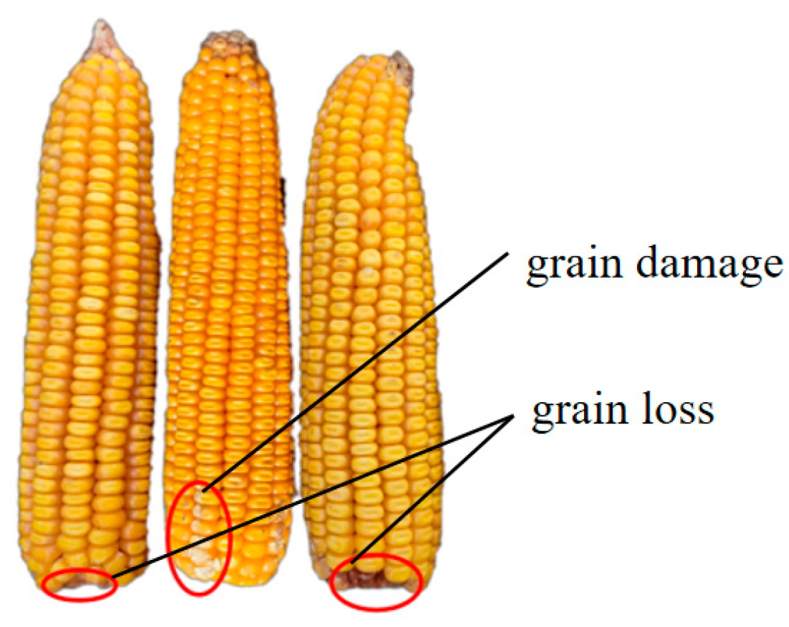 Applsci 14 01309 g003